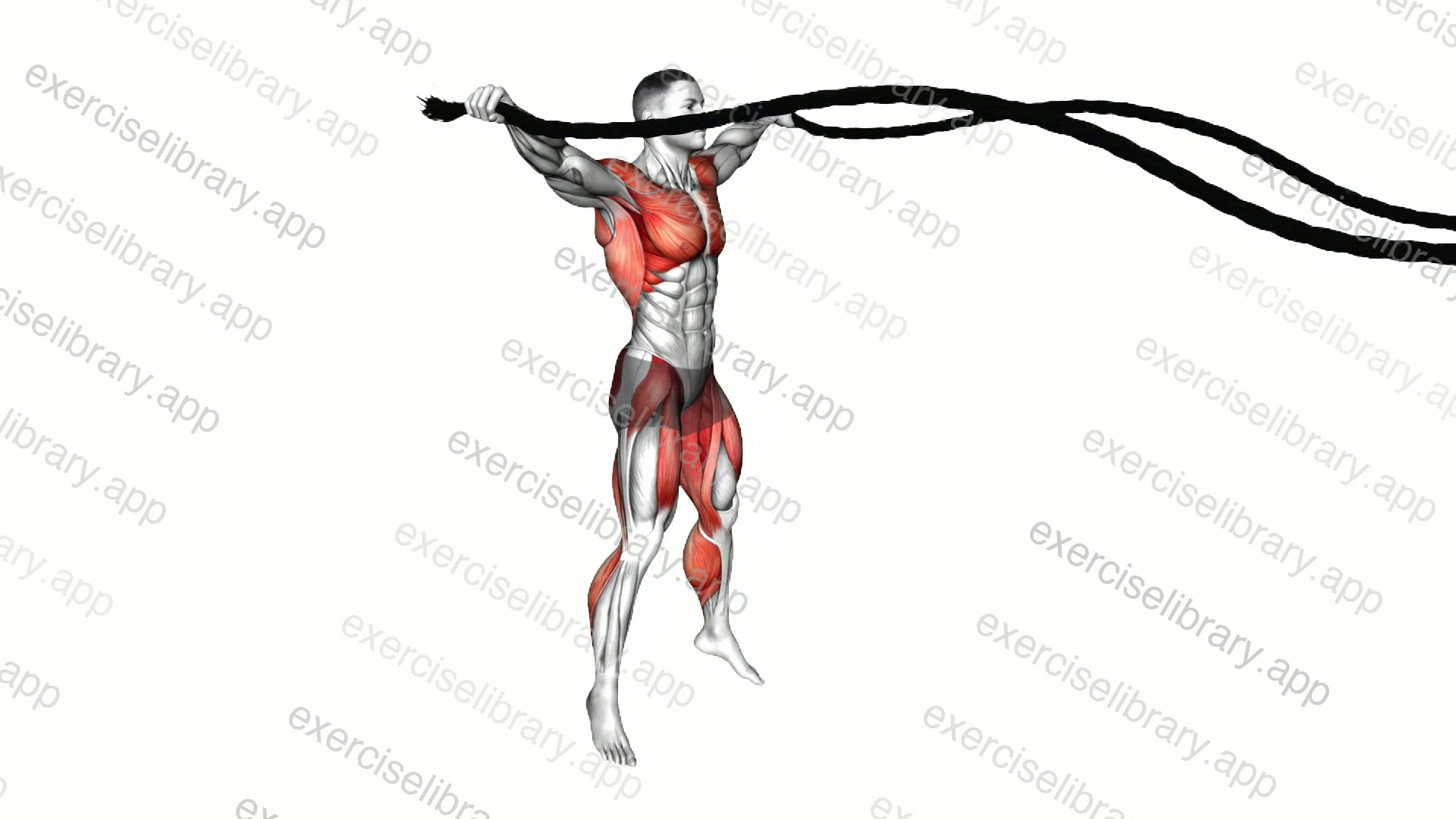 Battling Ropes Jumping Jack demonstration