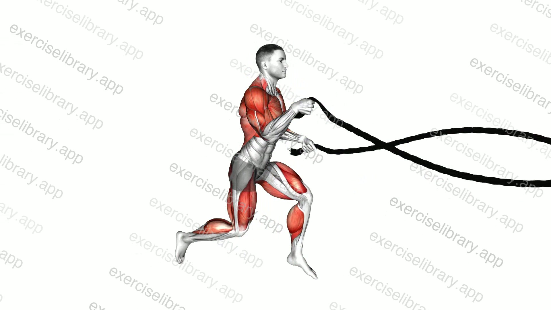 Battling Ropes Split Jump demonstration