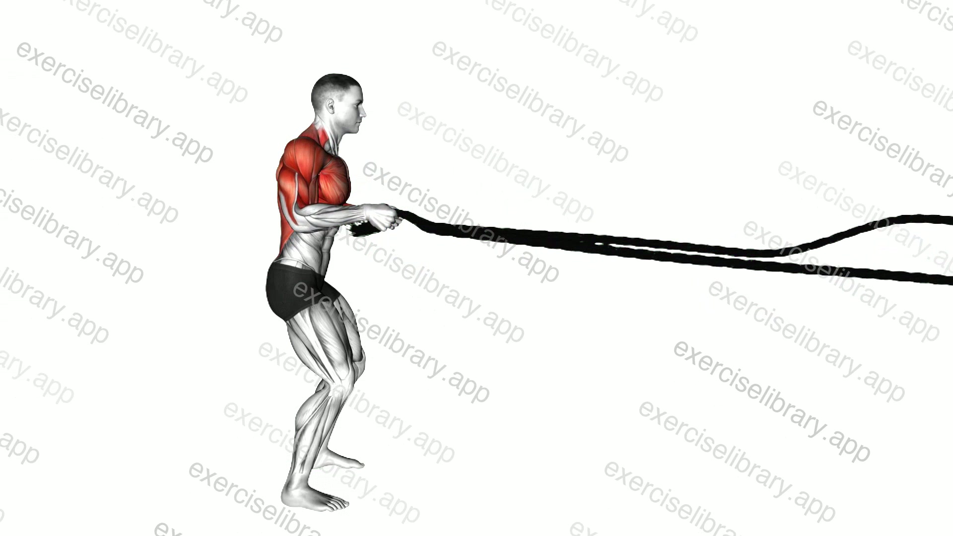 Battling Ropes High Waves demonstration