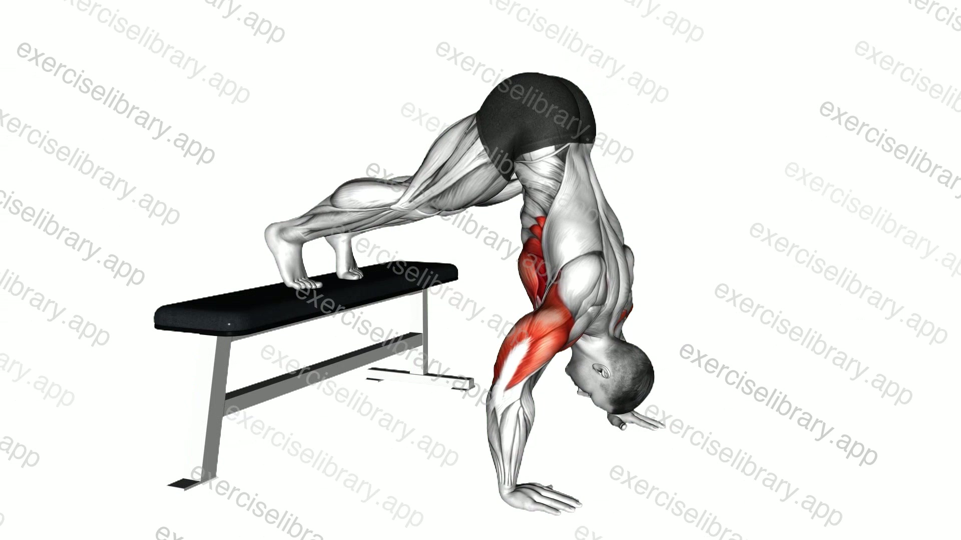 Pike Push-up demonstration