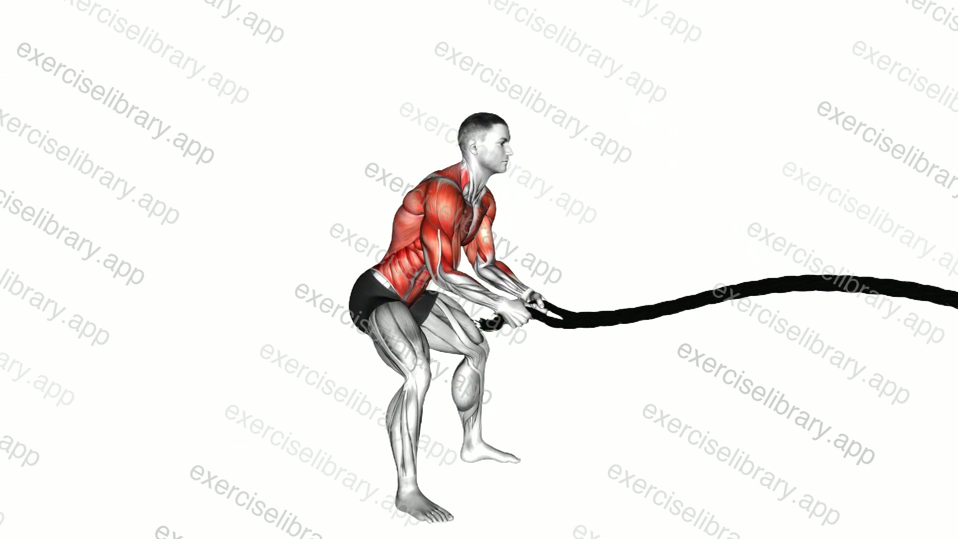 Battling Ropes Power Slam demonstration
