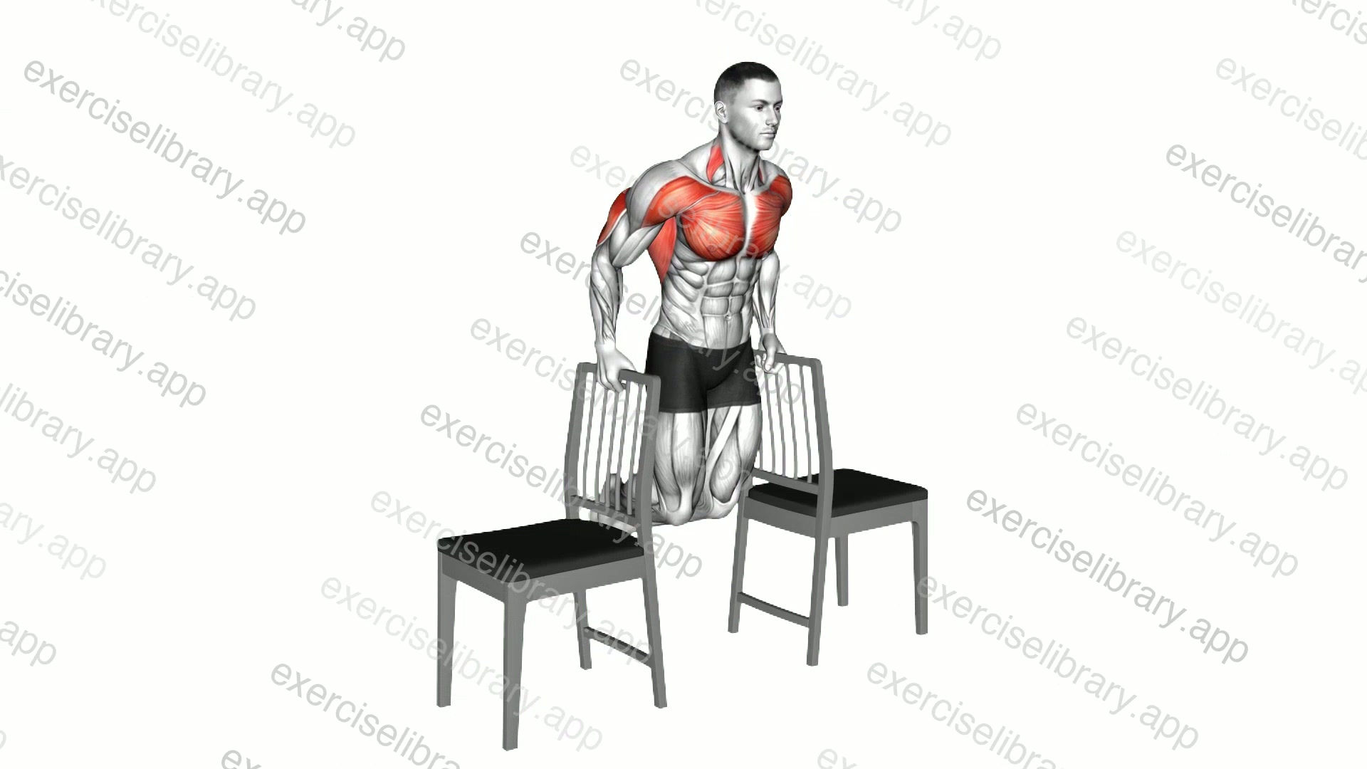 Dip between Chairs demonstration