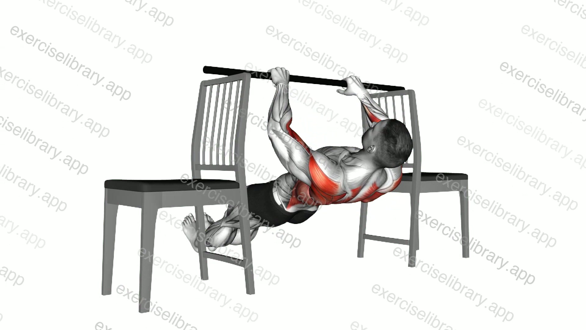 Inverted Row between Chairs demonstration