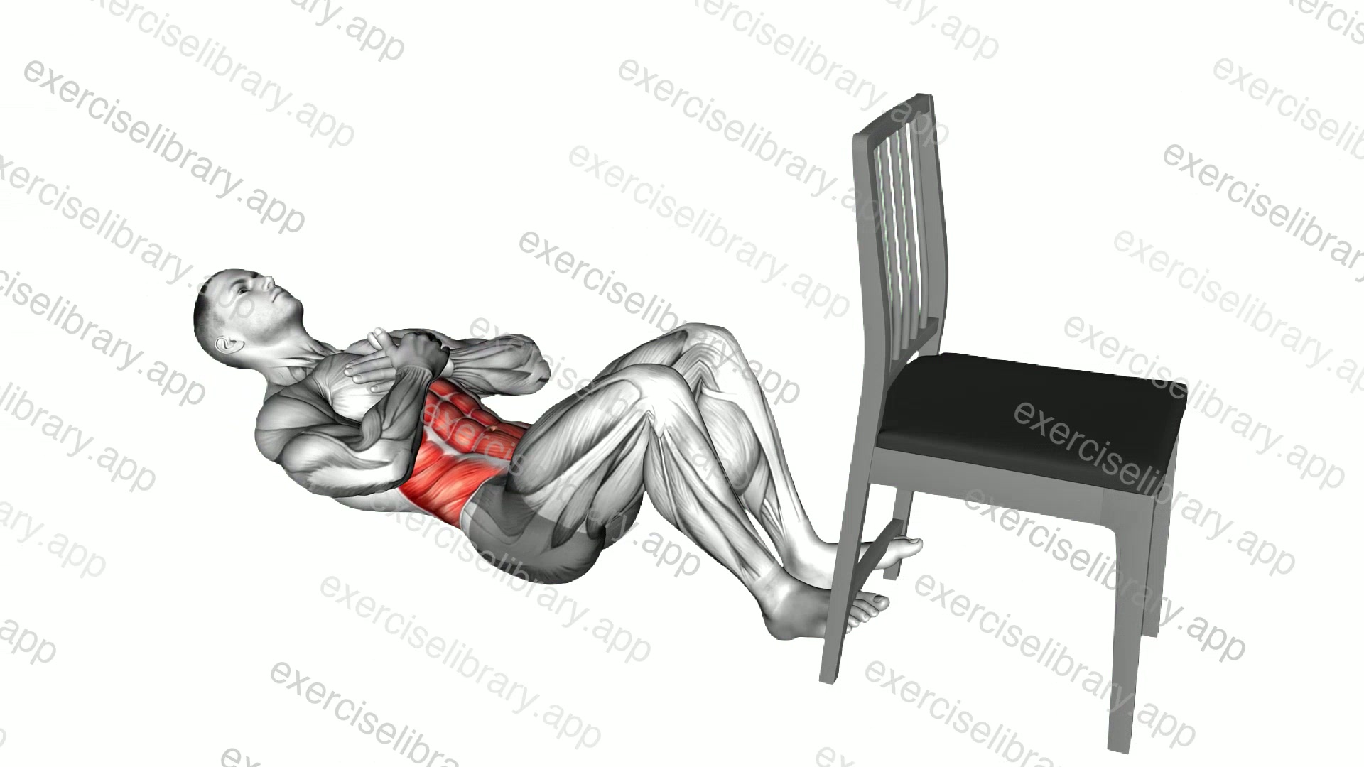 Sit-up with Chair Assisted demonstration