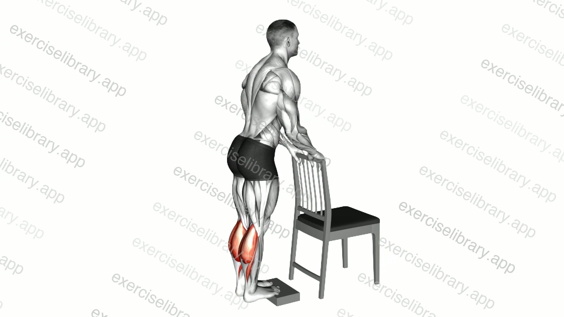 Calf Raise from Deficit with Chair Supported demonstration