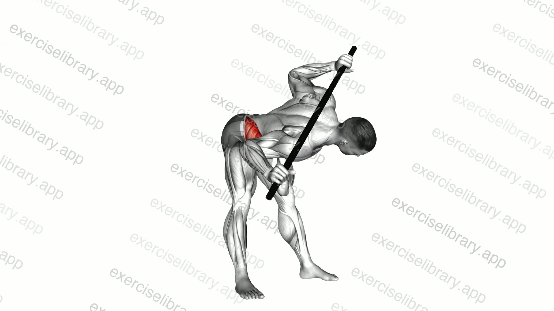 Bent Over Twist demonstration