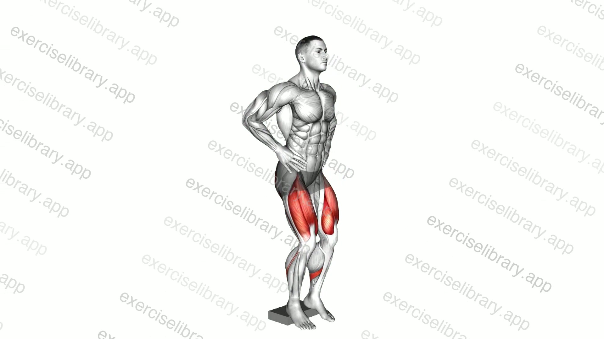 Narrow Squat from Deficit demonstration