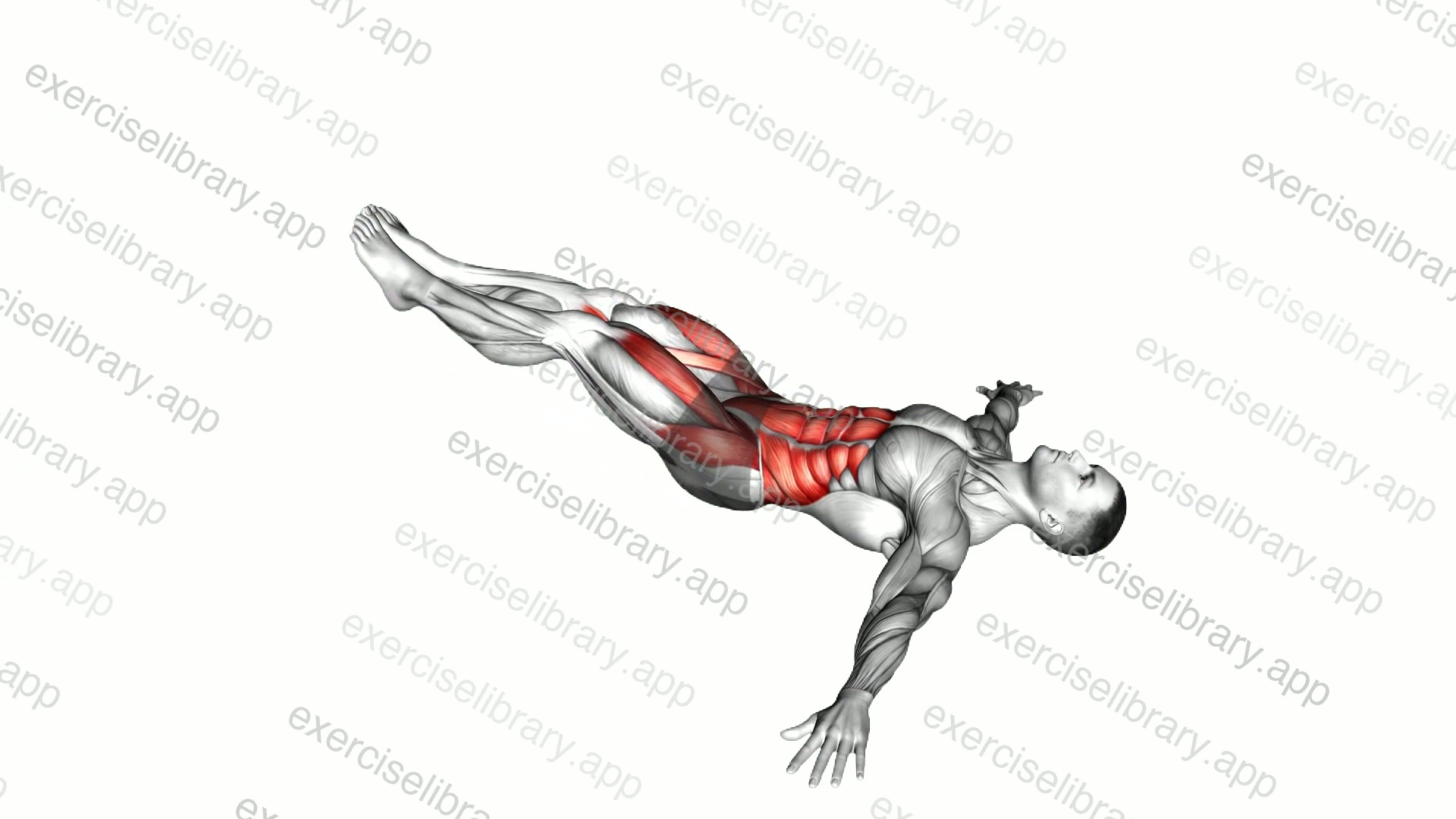 Lying Leg Hip Raise on Floor demonstration