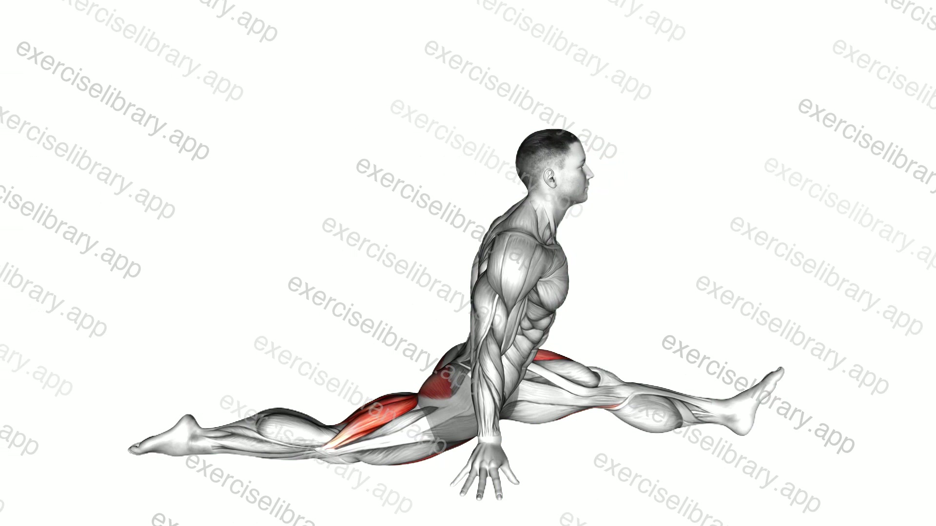 Flexion And Extension Hip Stretch demonstration