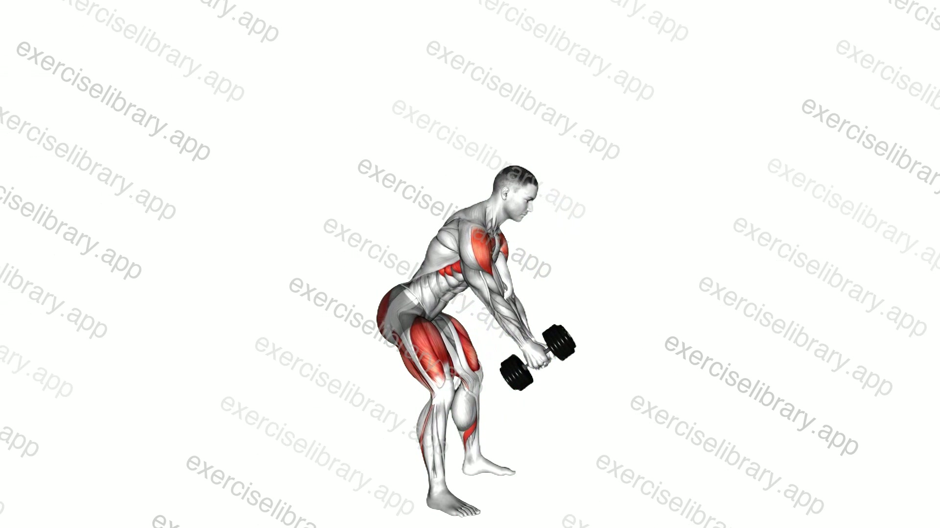 Dumbbell Full Swing demonstration