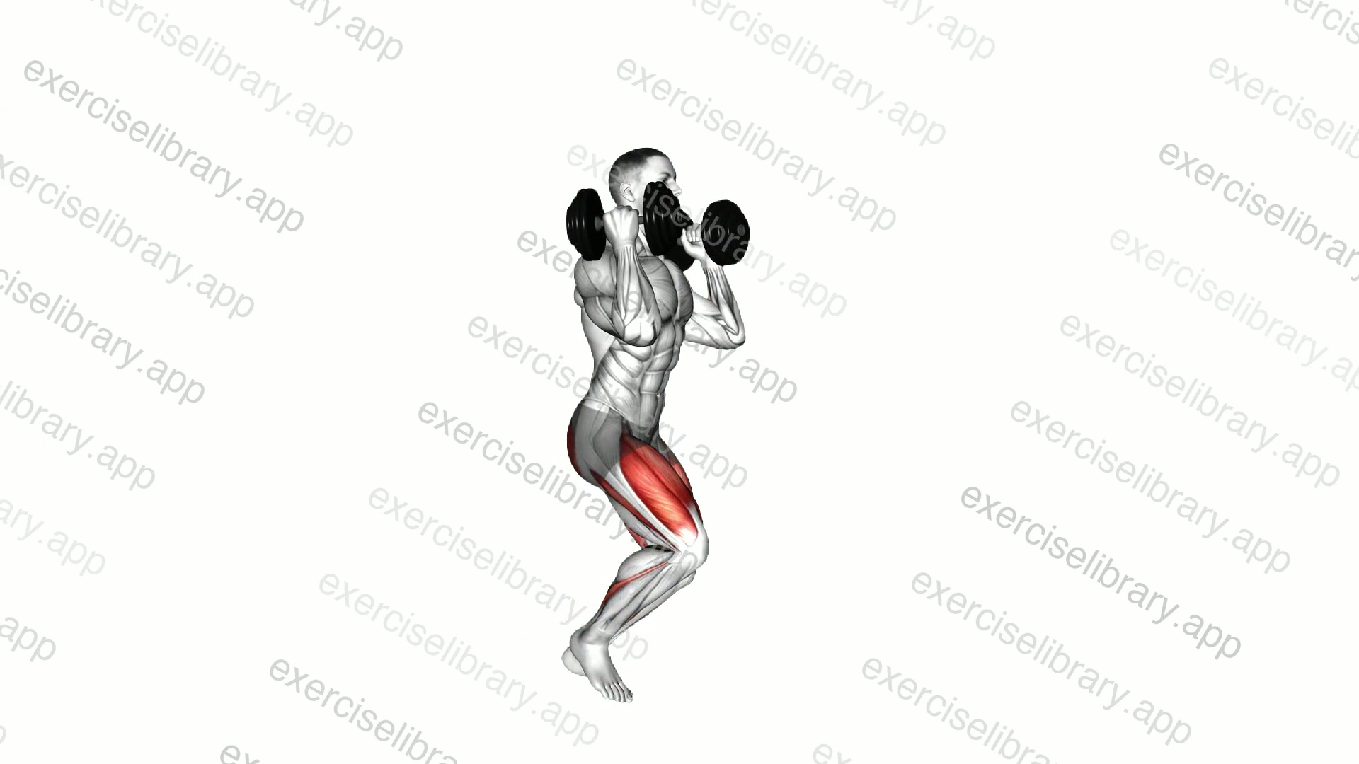 Dumbbell Front Rack Lunge demonstration