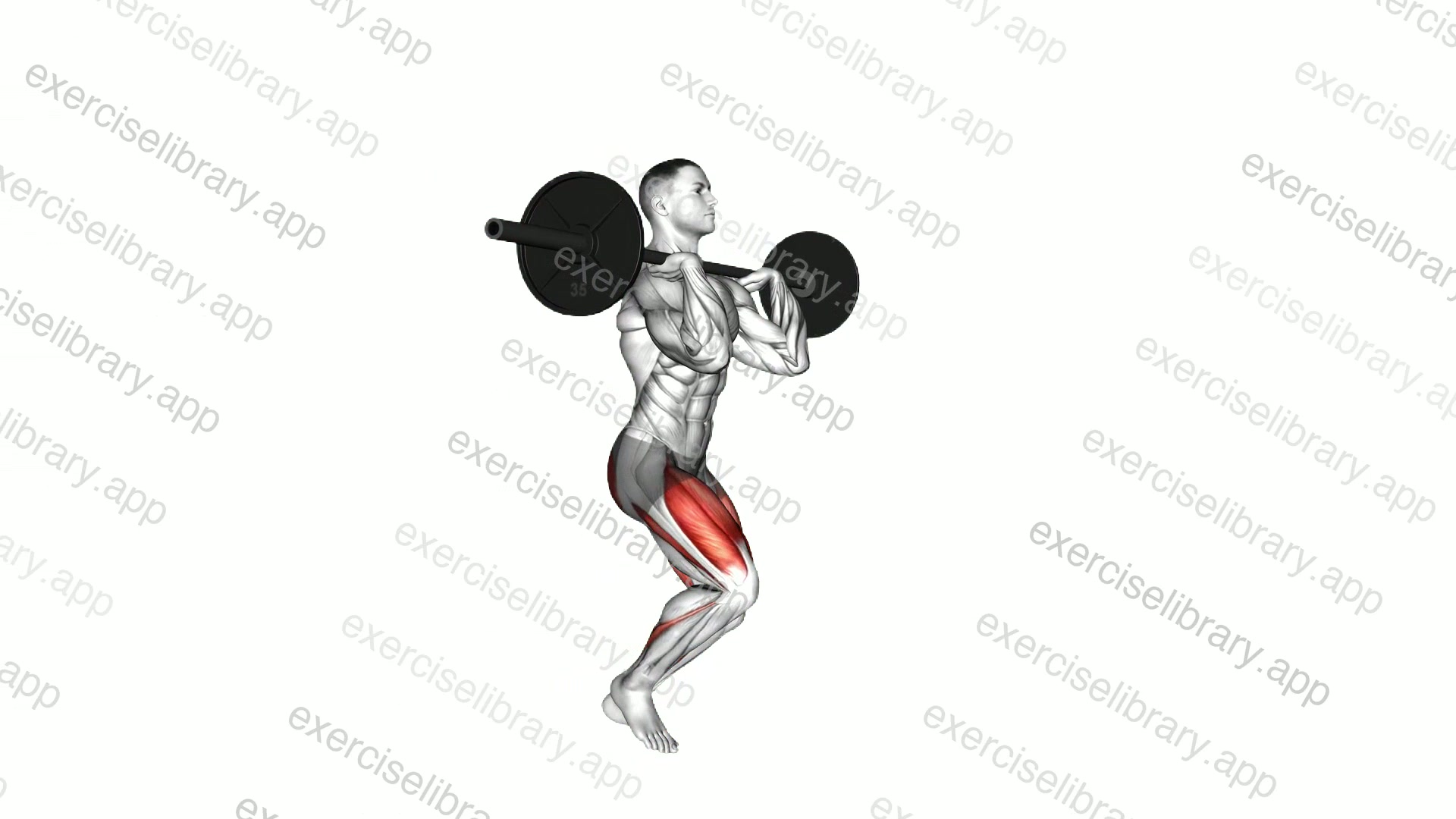 Barbell Front Rack Lunge demonstration