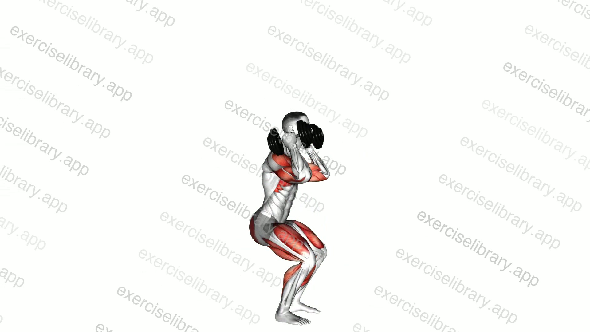Dumbbell Clean and Press demonstration