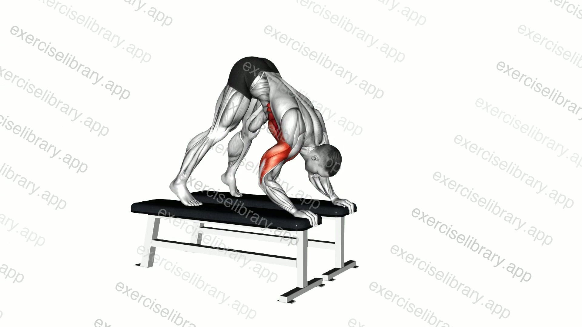 Pike Push-up demonstration