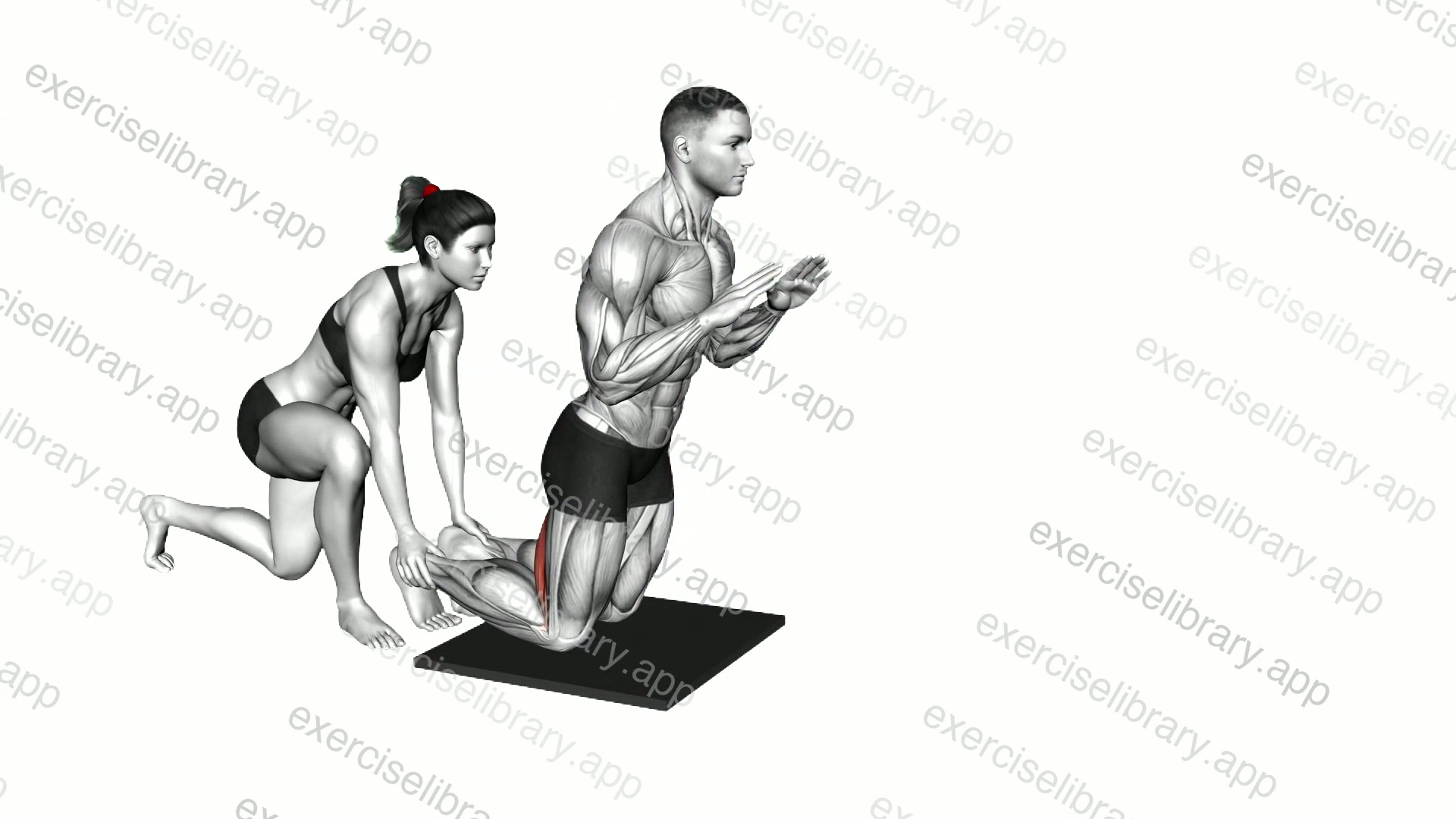 Assisted Inverse Leg Curl demonstration