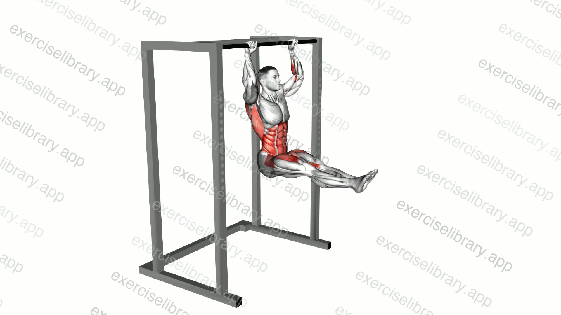 L Pull-up demonstration