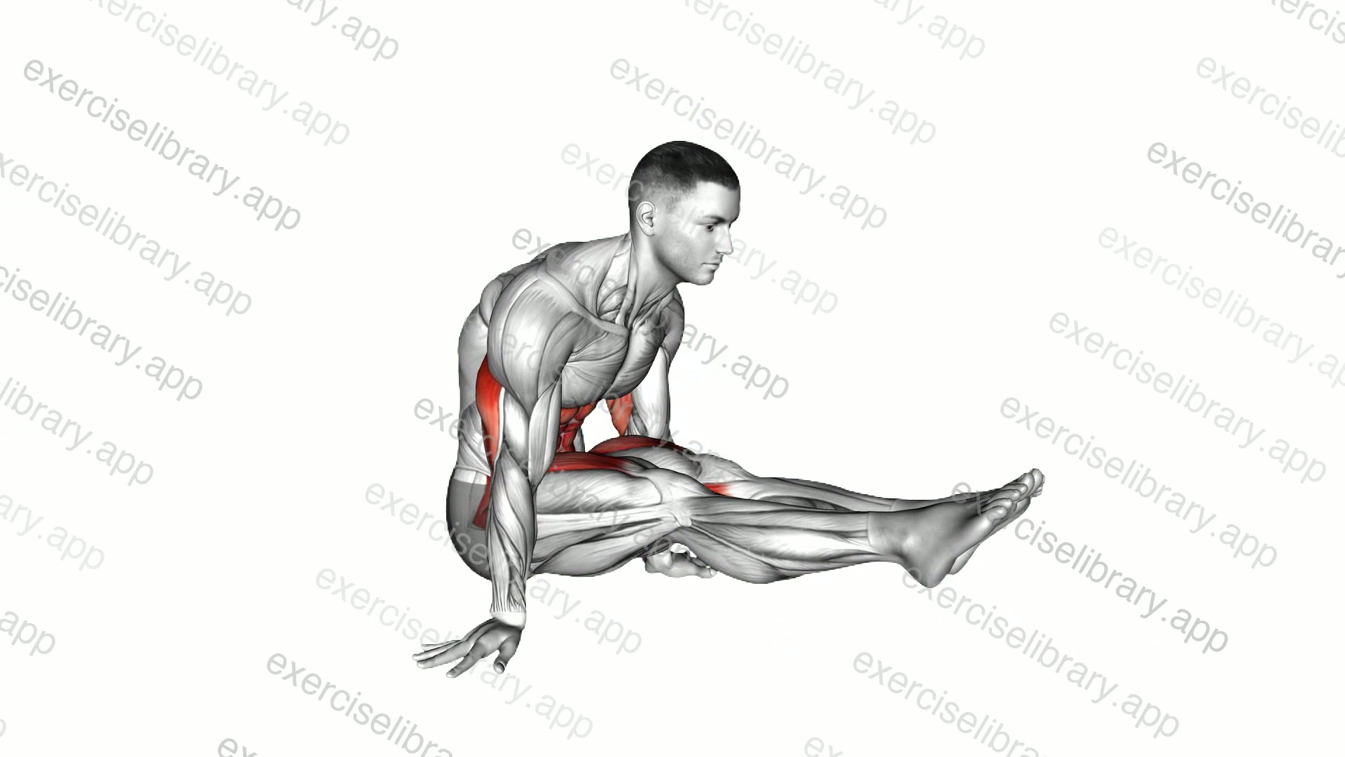 L-Sit on Floor demonstration