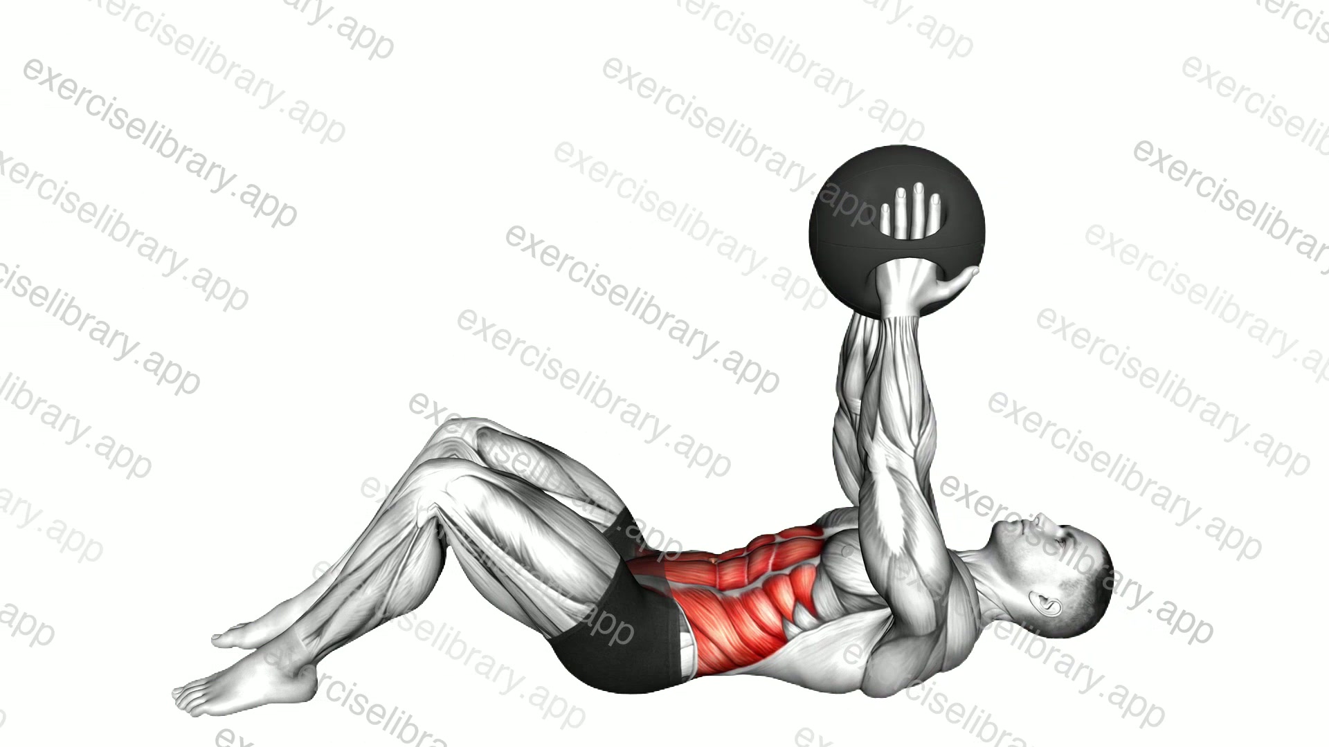 Crunch with Medicine Ball demonstration