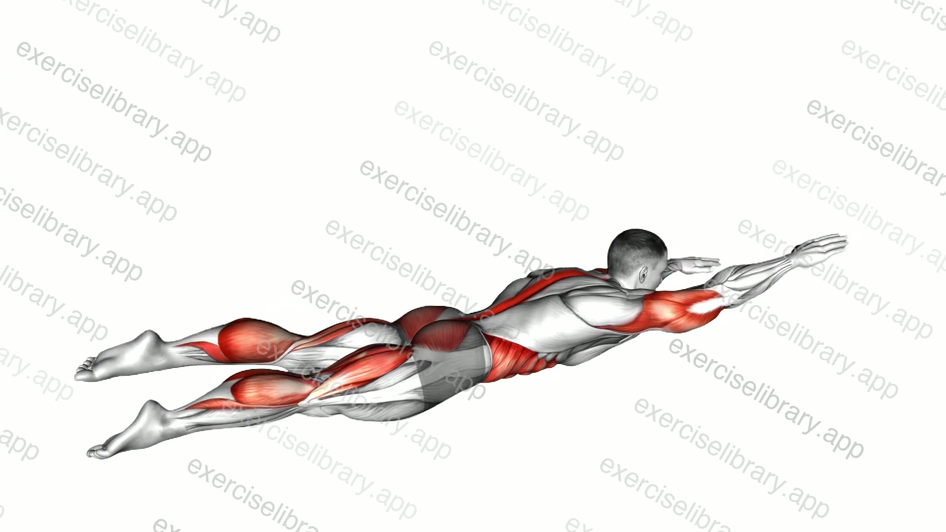 Swimmer Kicks demonstration
