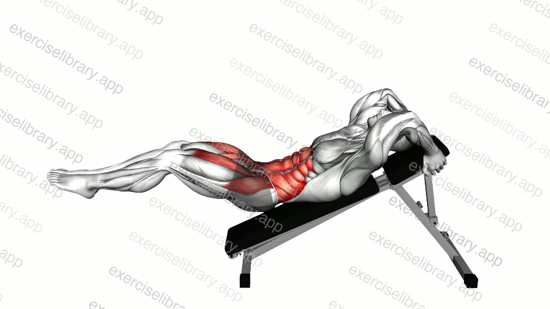 Decline Leg Hip Raise demonstration