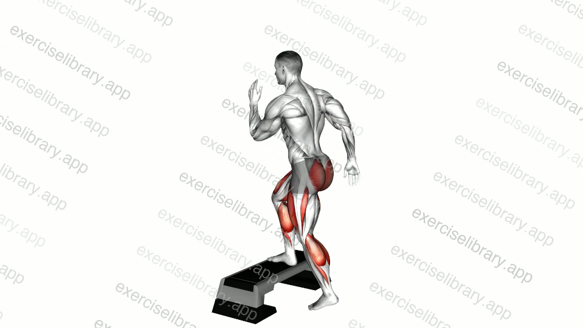 Split Jump to Box demonstration