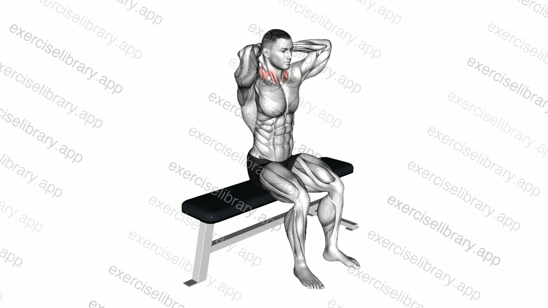 Seated Flexion And Extension Neck demonstration