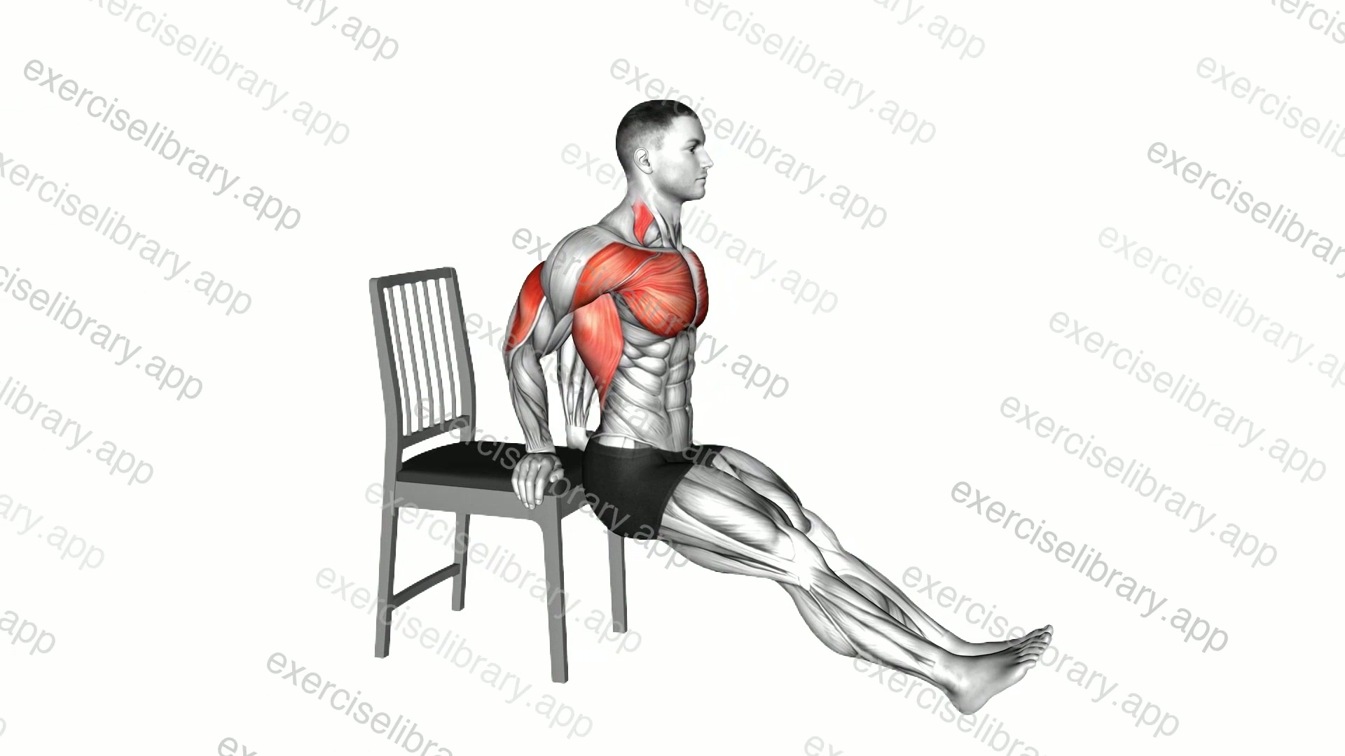 Dip on Floor with Chair demonstration
