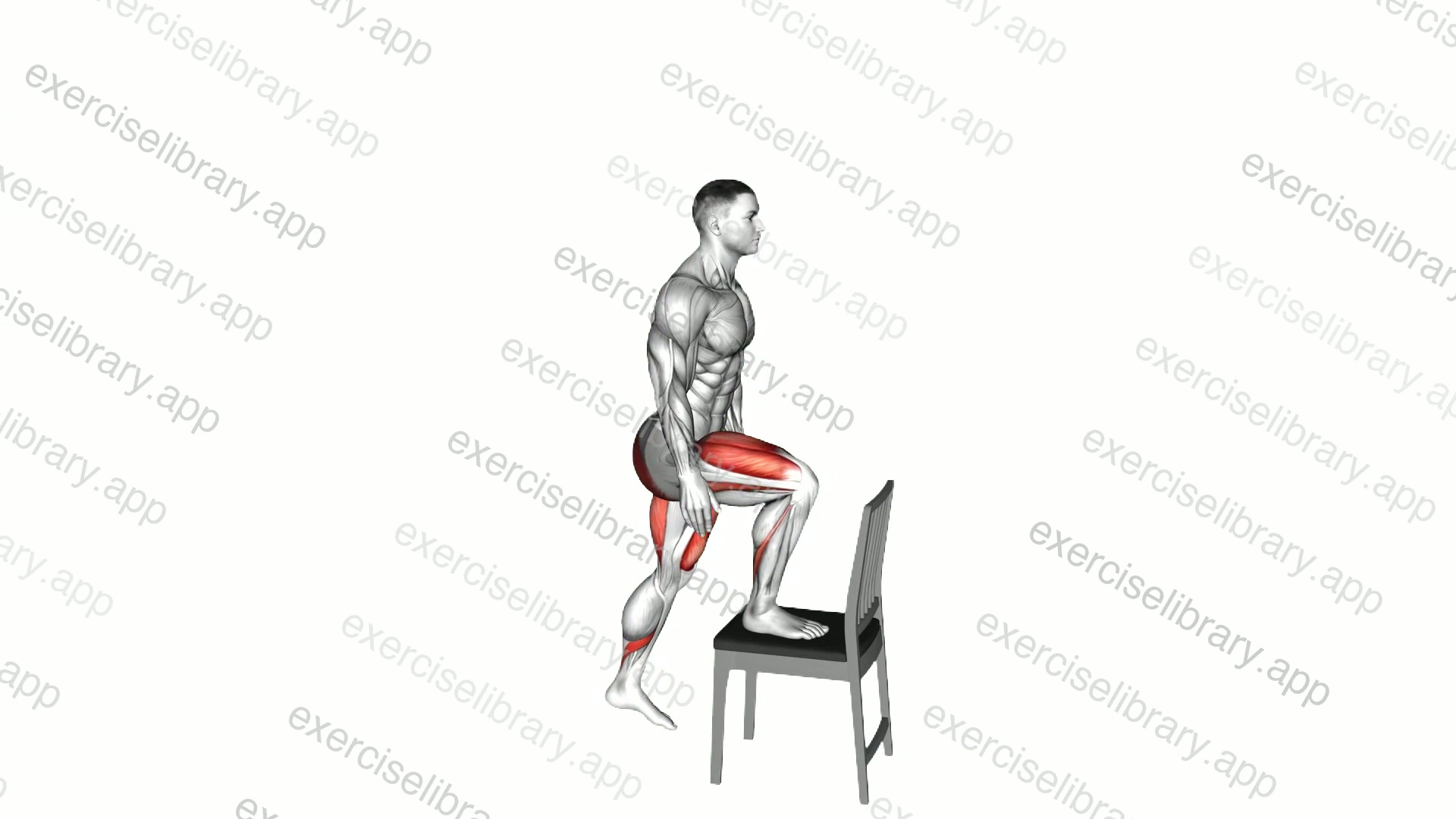 Step-up on Chair demonstration
