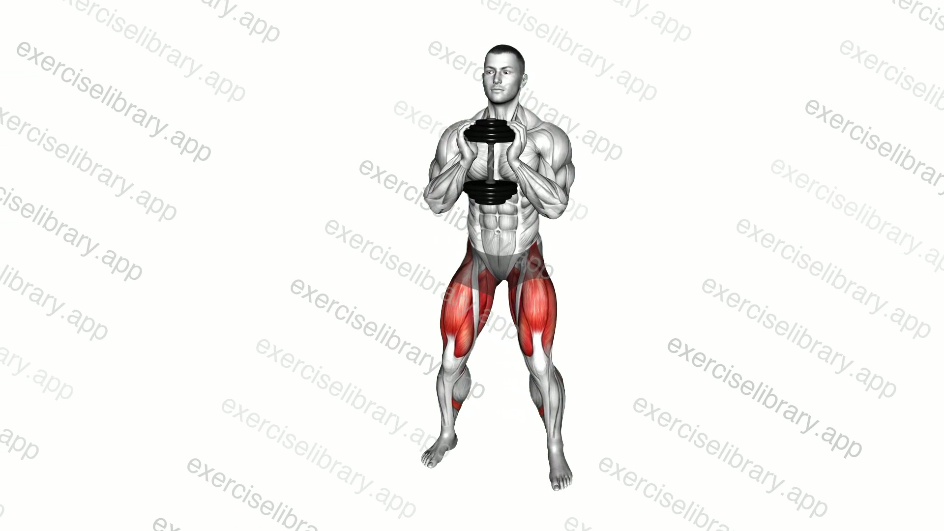 Dumbbell Side Lunge demonstration