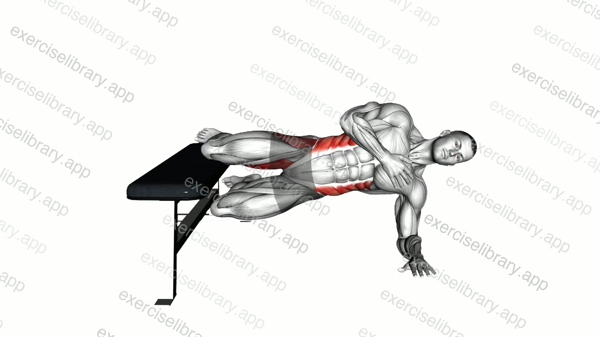 Side Plank Hip Adduction demonstration