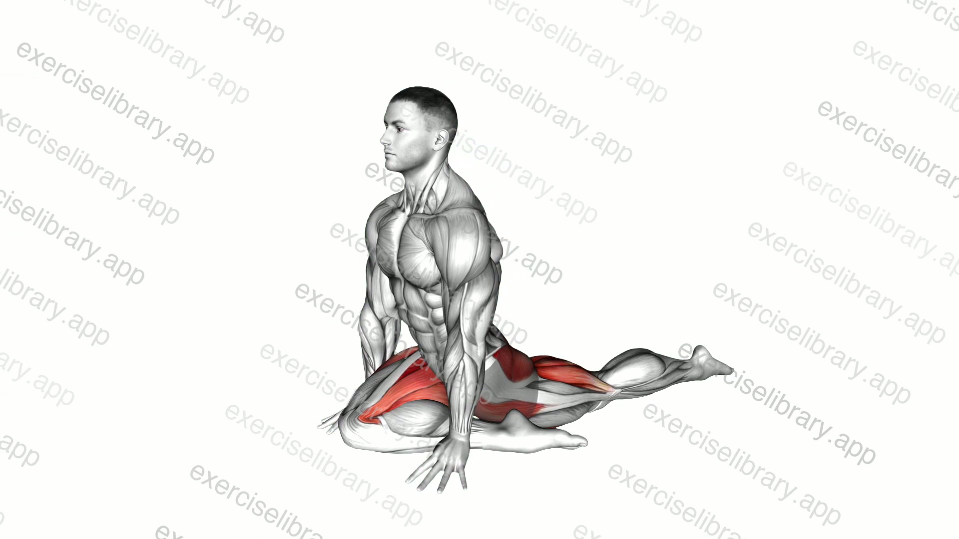 Lying Leg Tuck Hip Stretch demonstration
