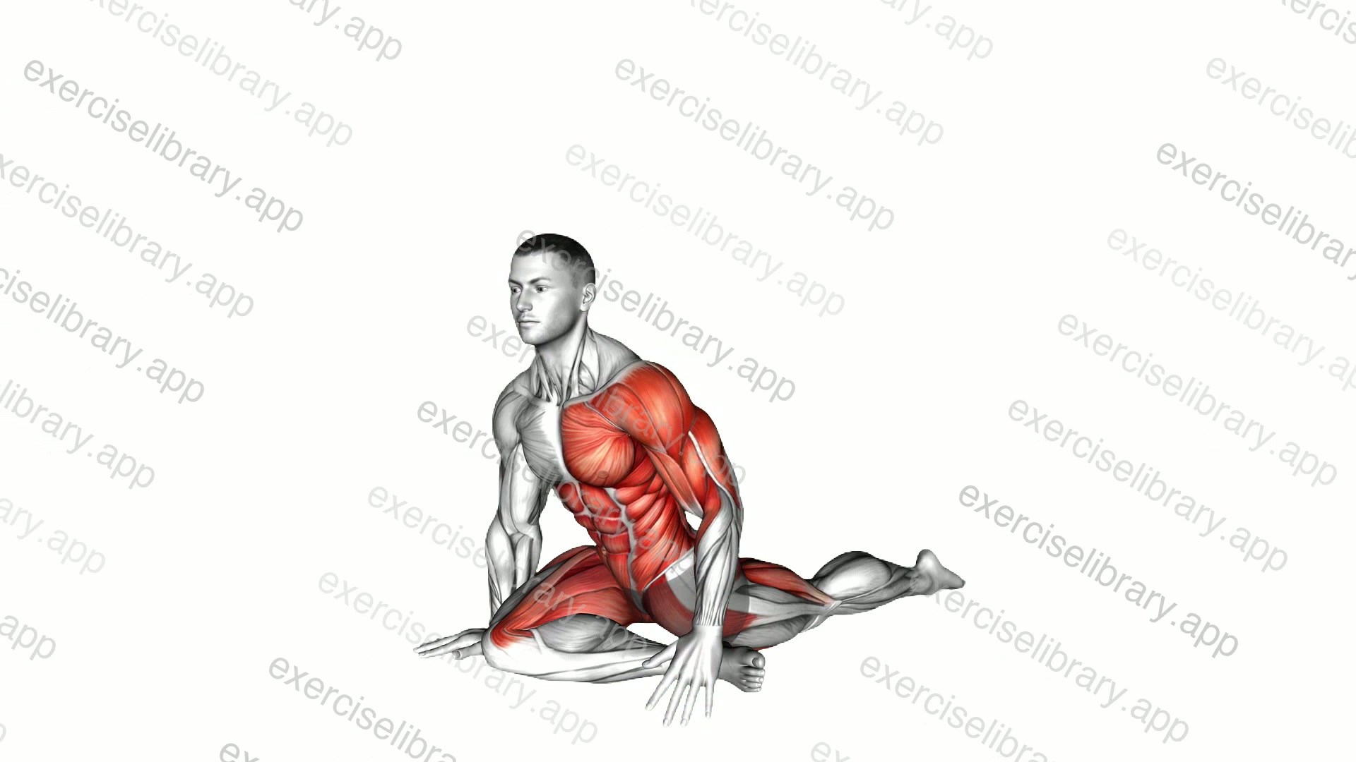 Lying Leg Tuck Hip Twist Stretch demonstration