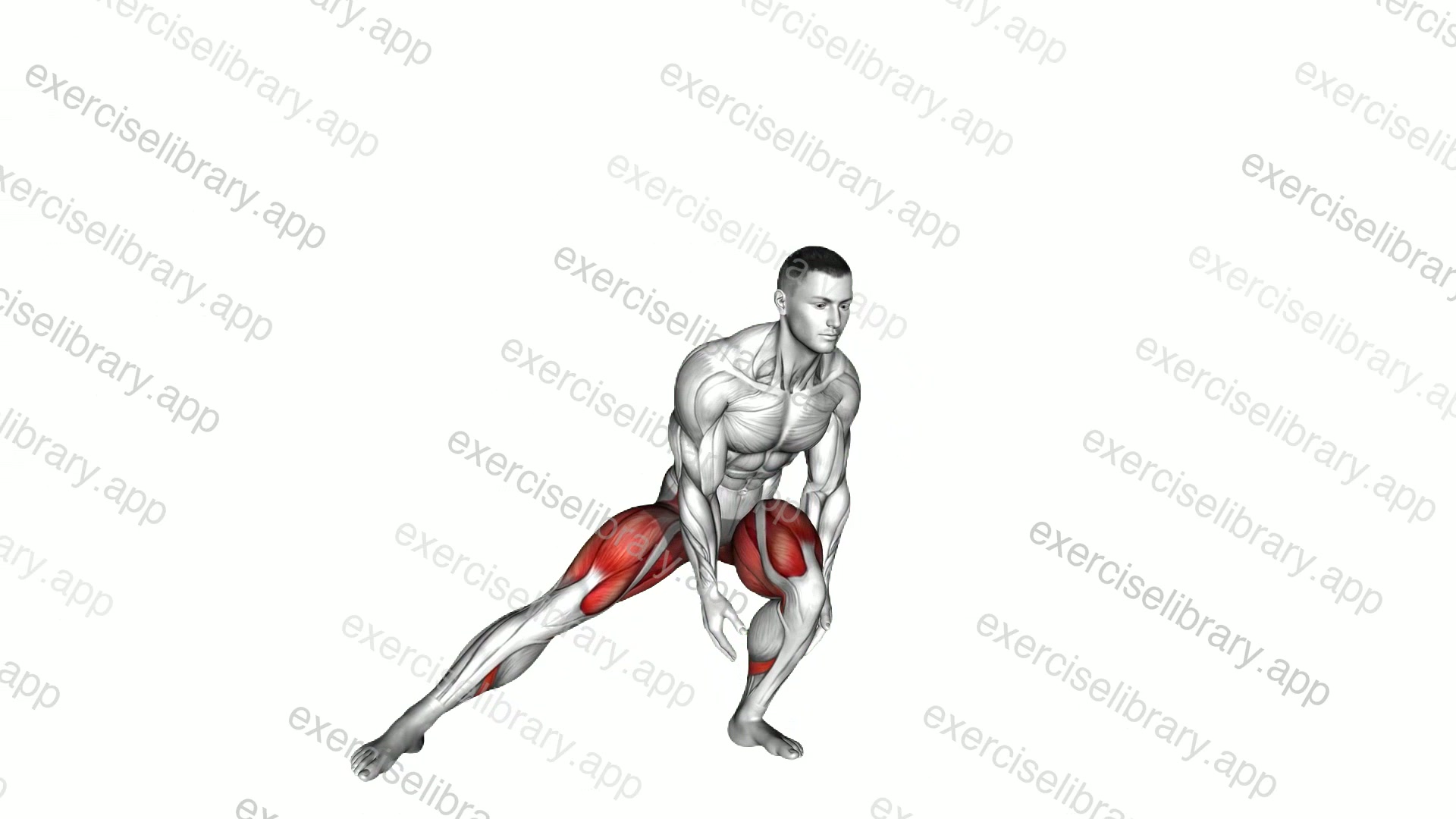 Alternate Heel Touch Side Kick Squat demonstration