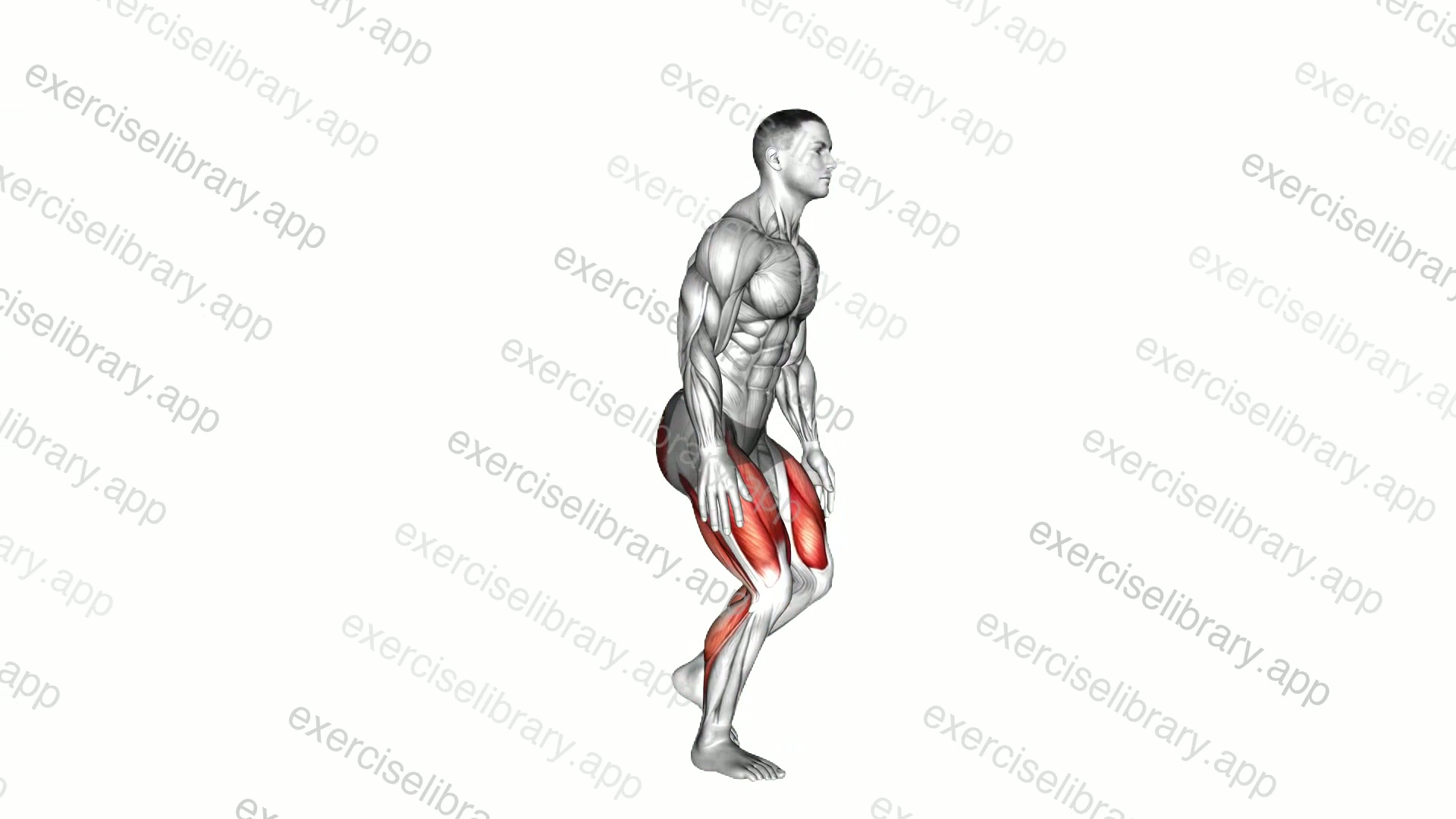 Alternate Sprinter Lunge demonstration