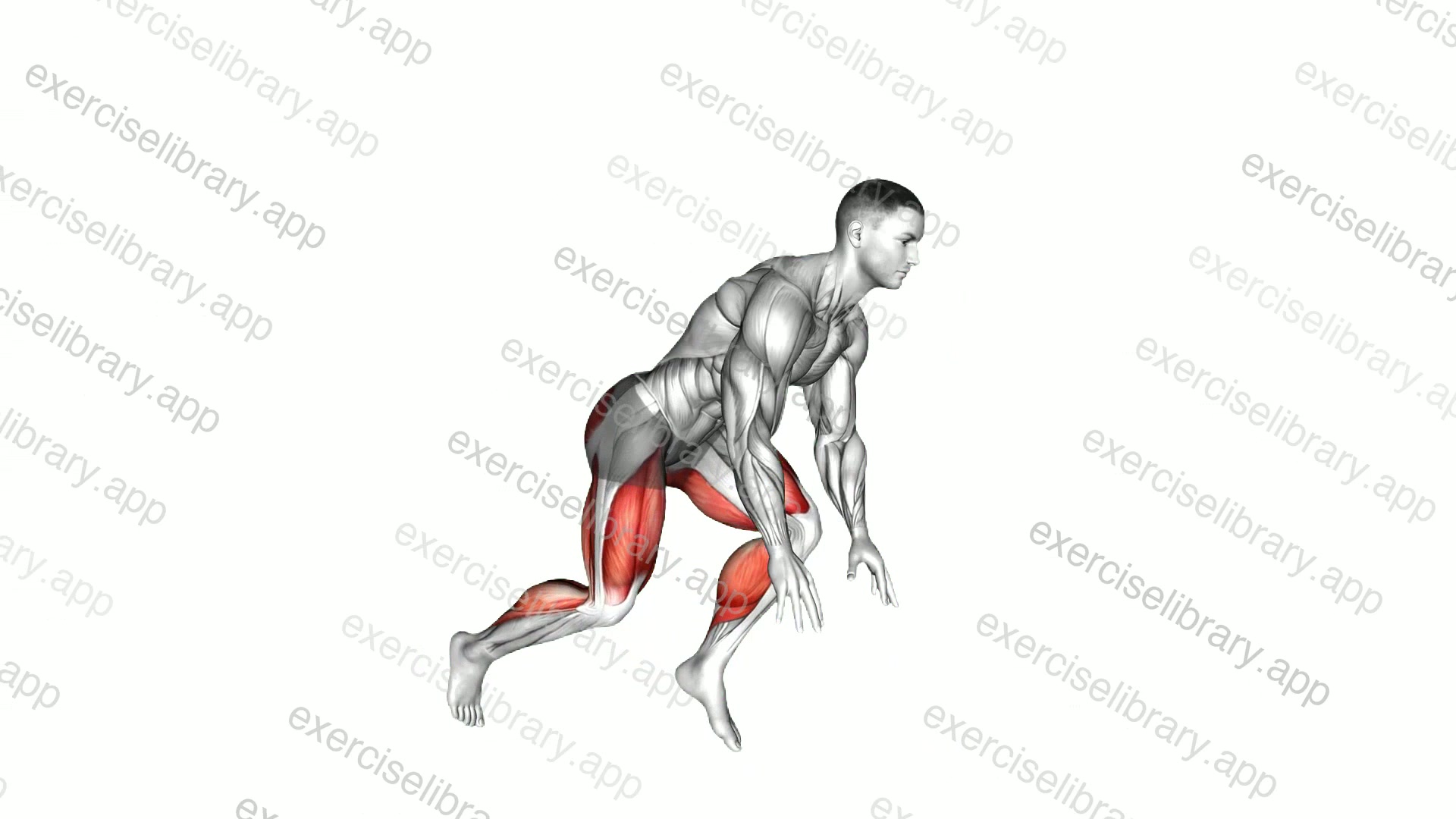 Split Sprinter Low Lunge demonstration