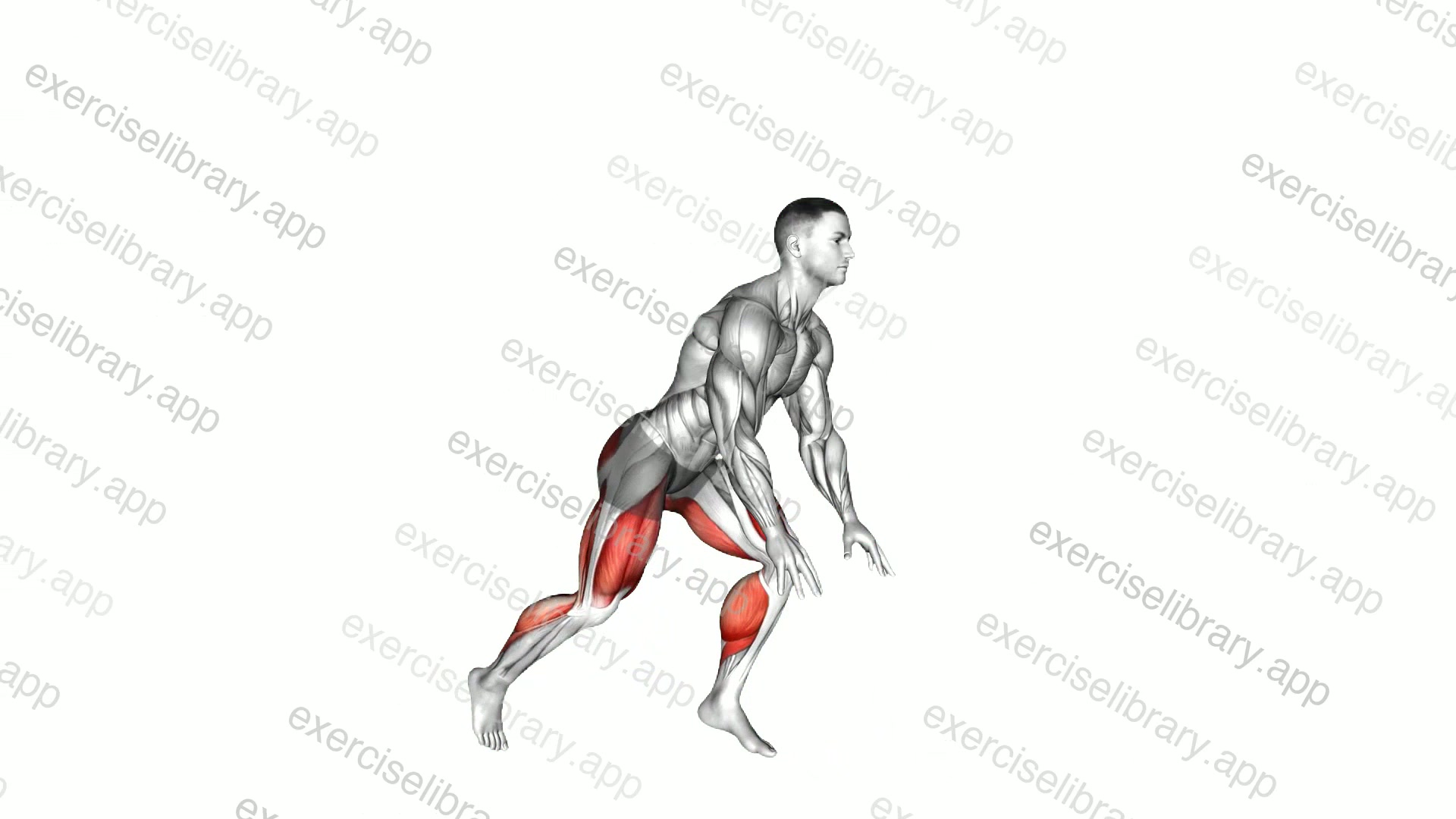 Split Sprinter High Lunge demonstration