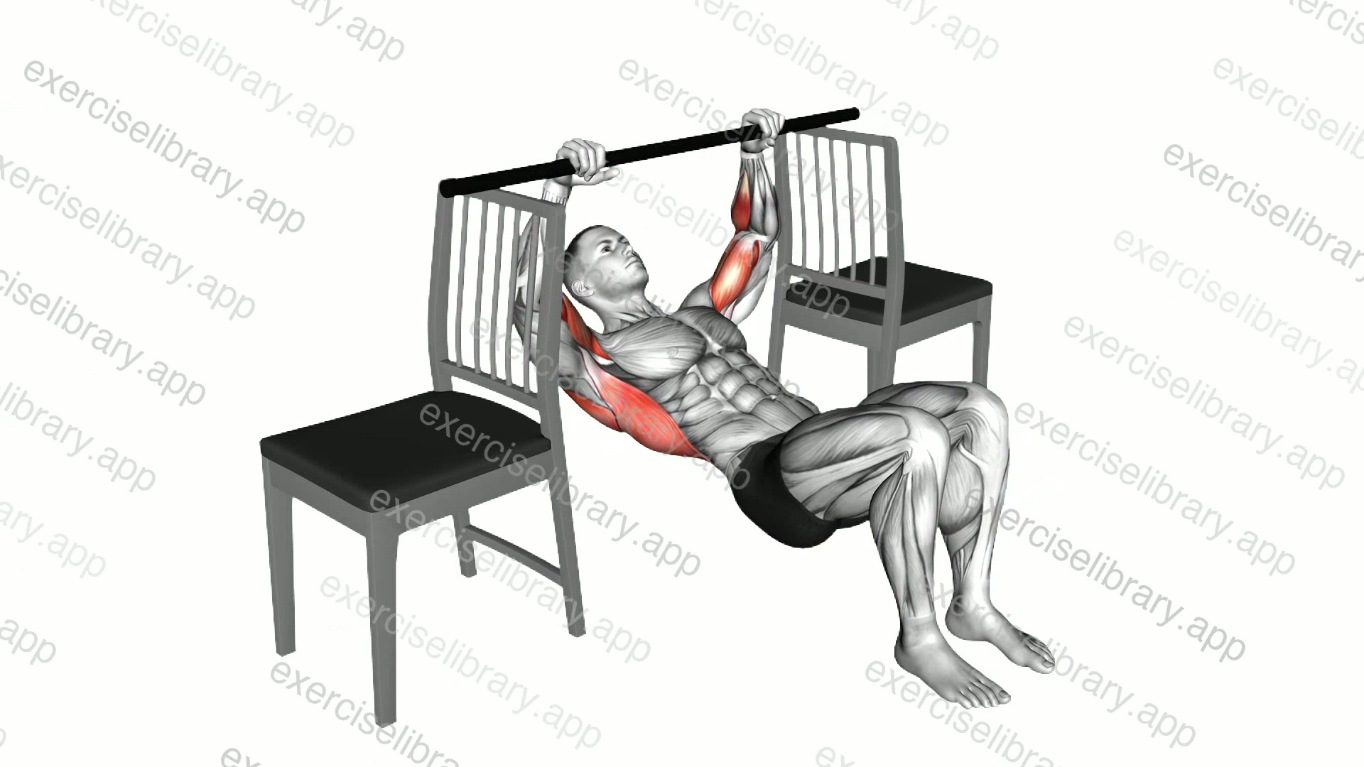 Inverted Row with Bent Knee between Chairs demonstration