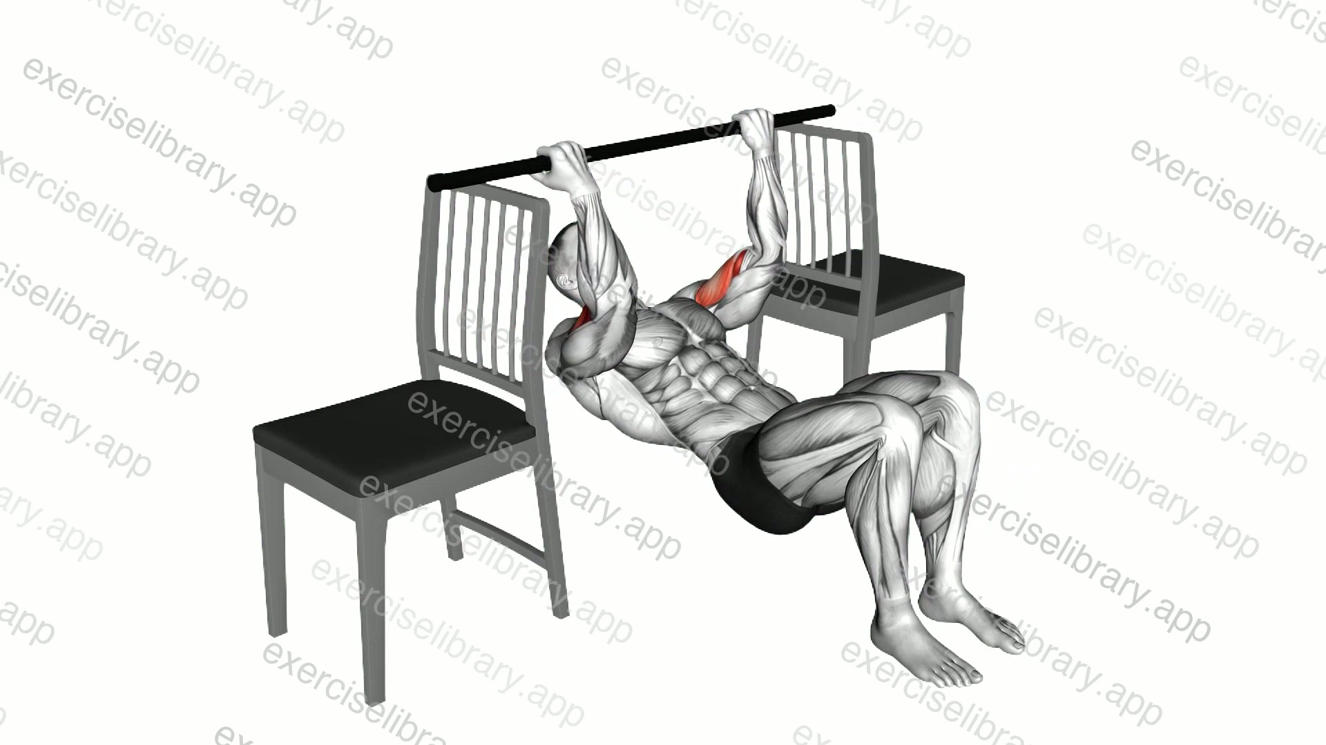 Inverted Chin Curl with Bent Knee between Chairs demonstration