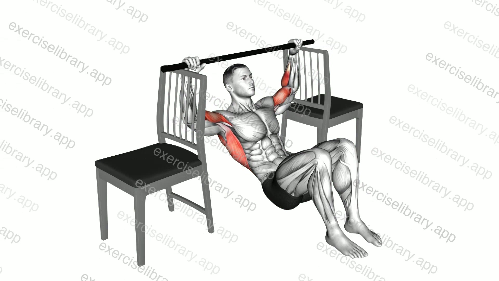 Pull-up with Bent Knee between Chairs demonstration