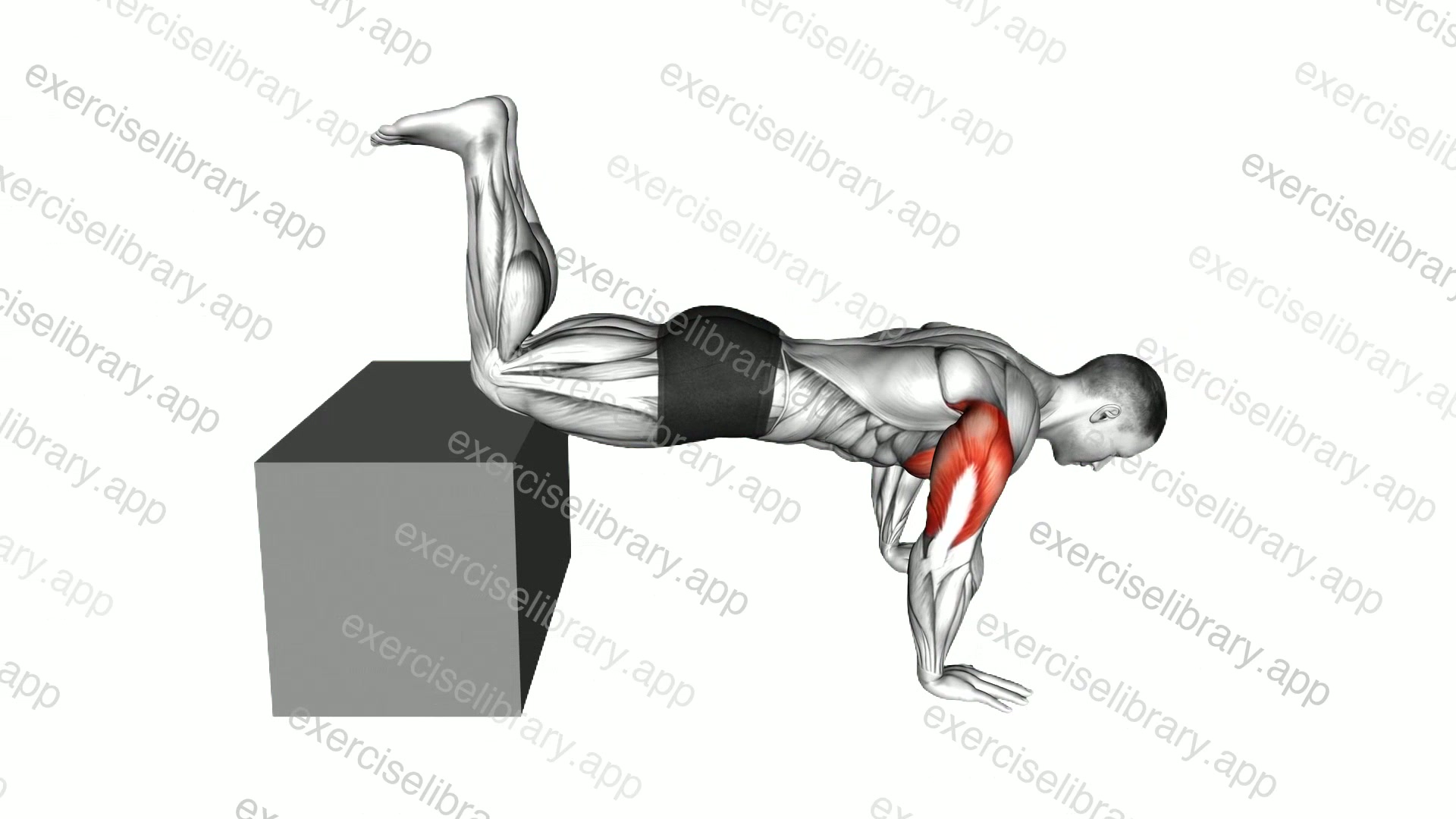 Decline Kneeling Push-Up on Box demonstration