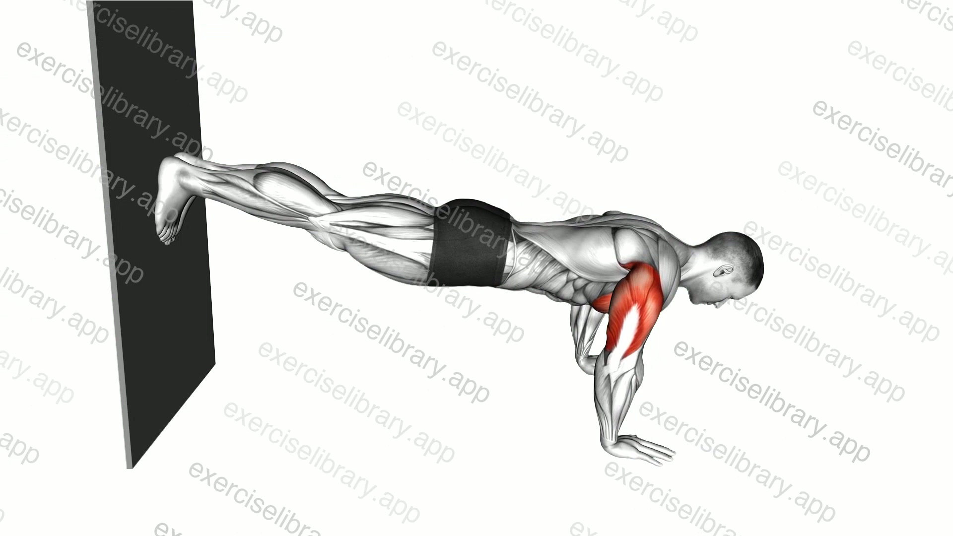 Decline Push-Up against Wall demonstration