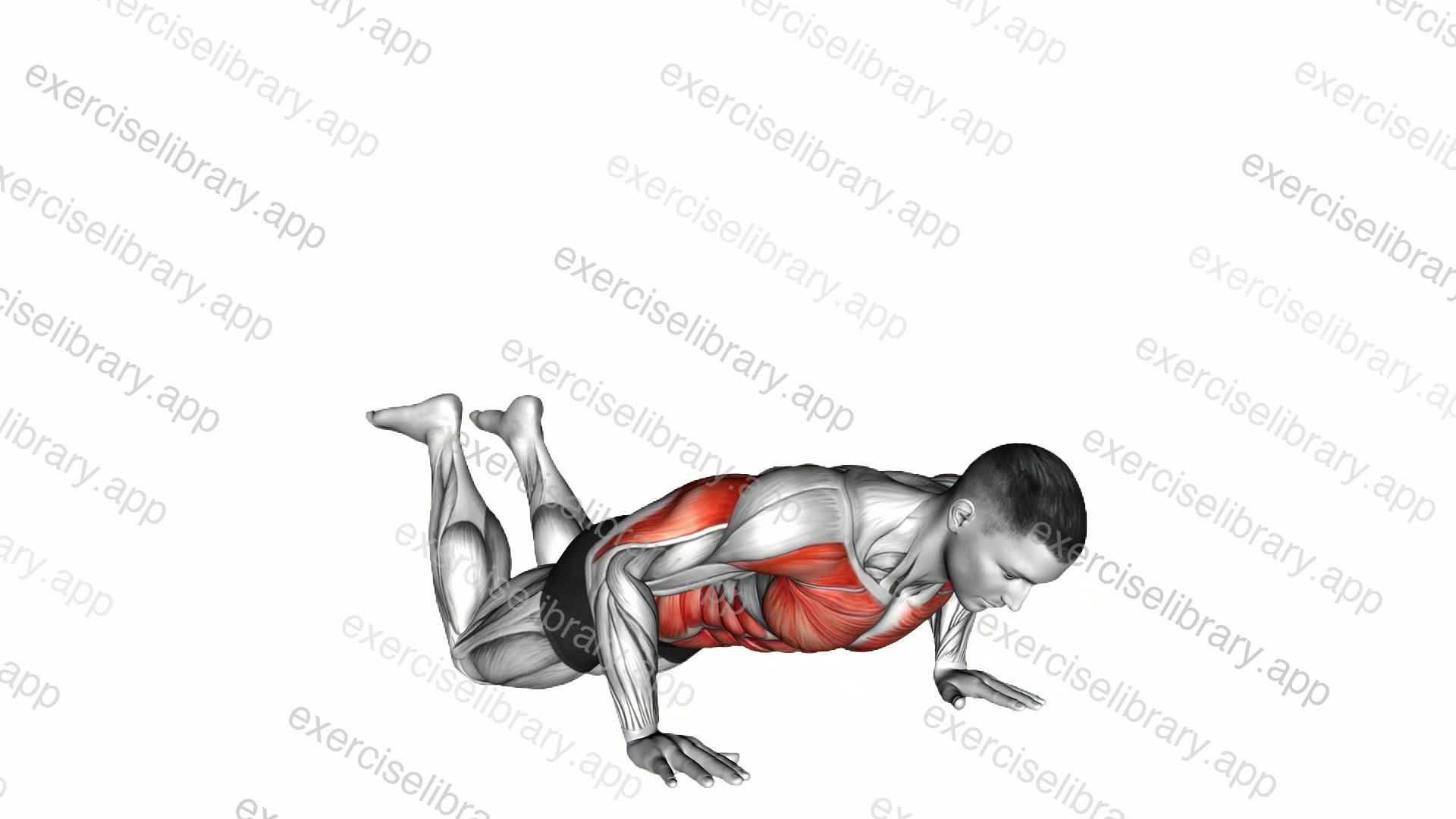 Kneeling Rotational Push-Up demonstration