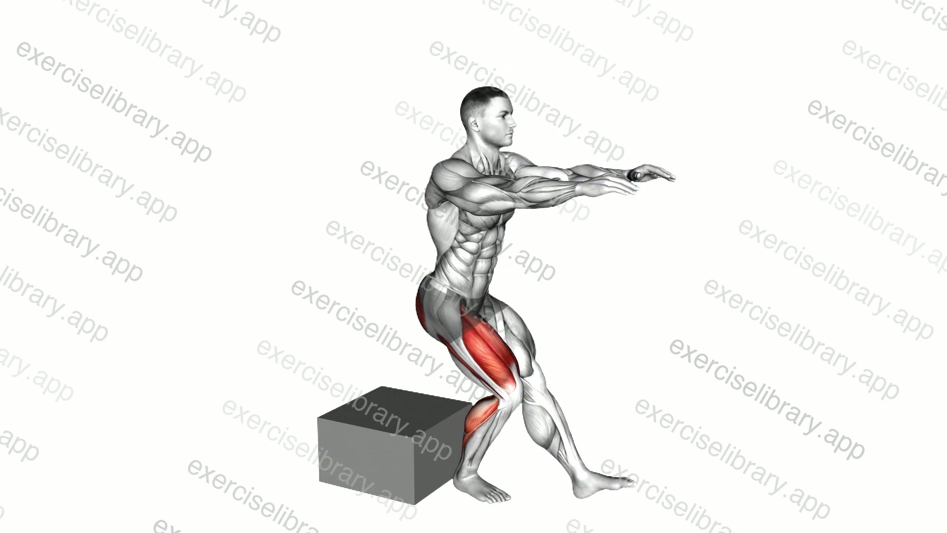Single Leg Low Box Squat demonstration