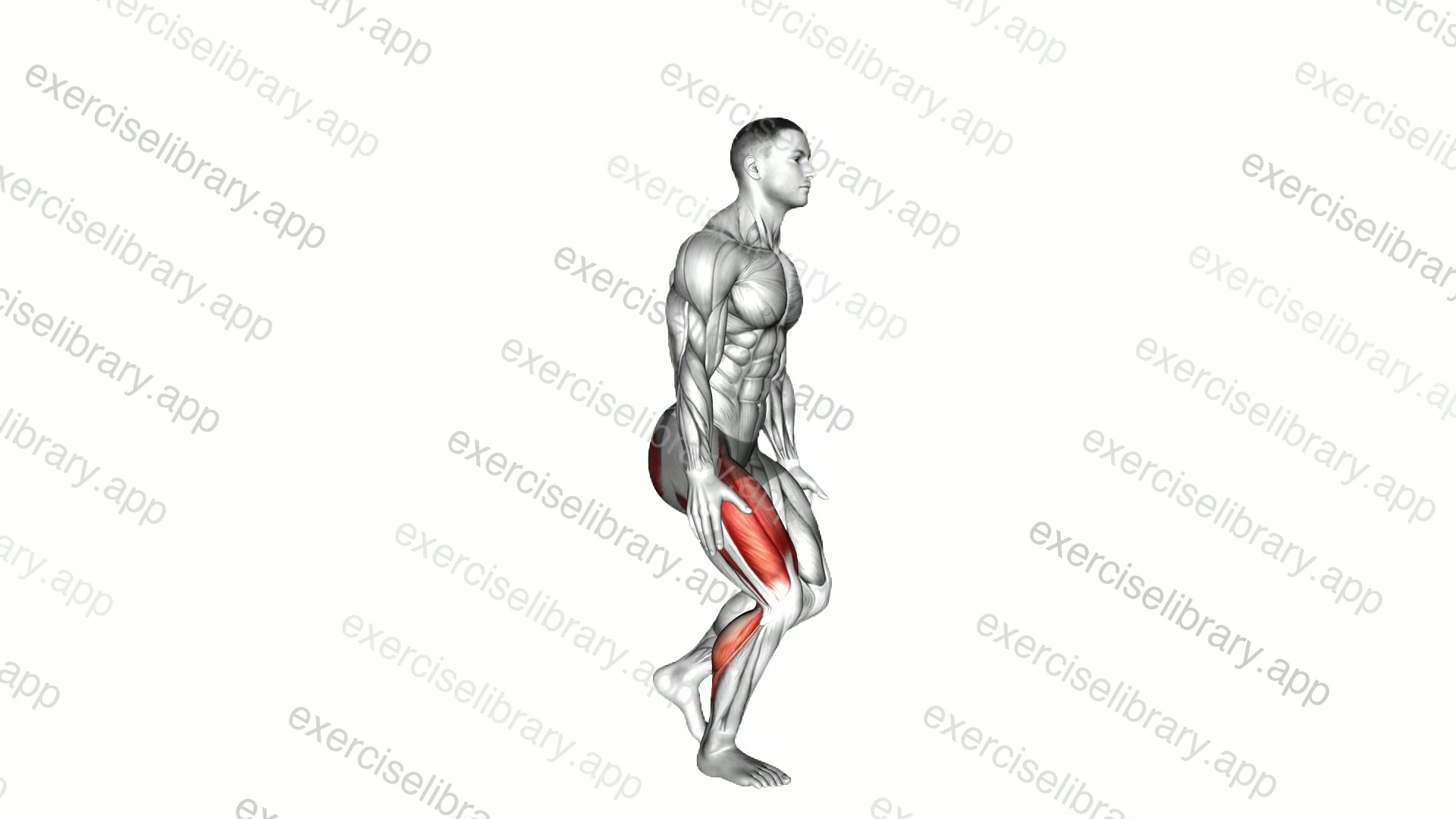 Single Leg Heel Touch Squat demonstration