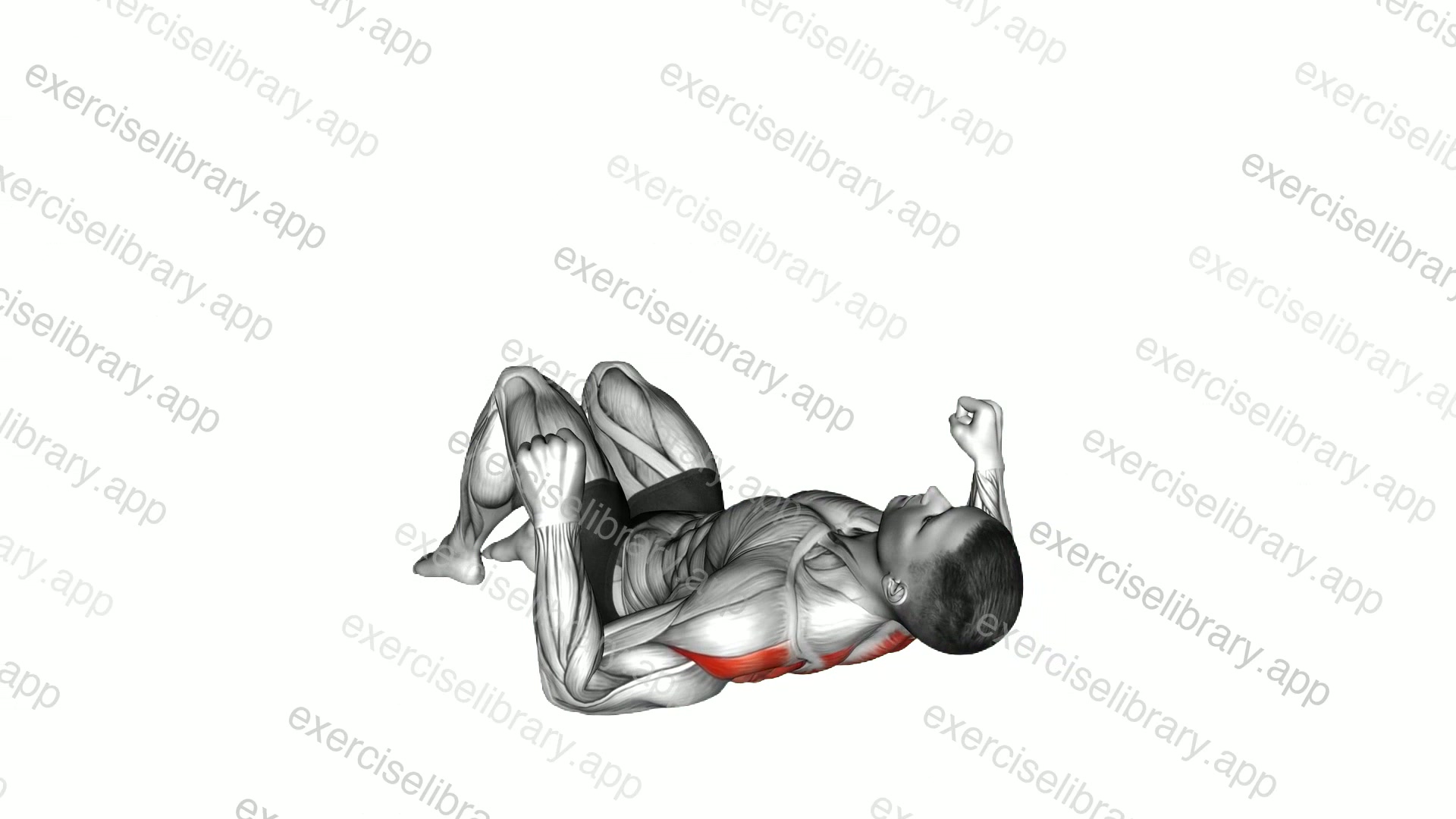 Lying Floor Row with Bent Knee demonstration