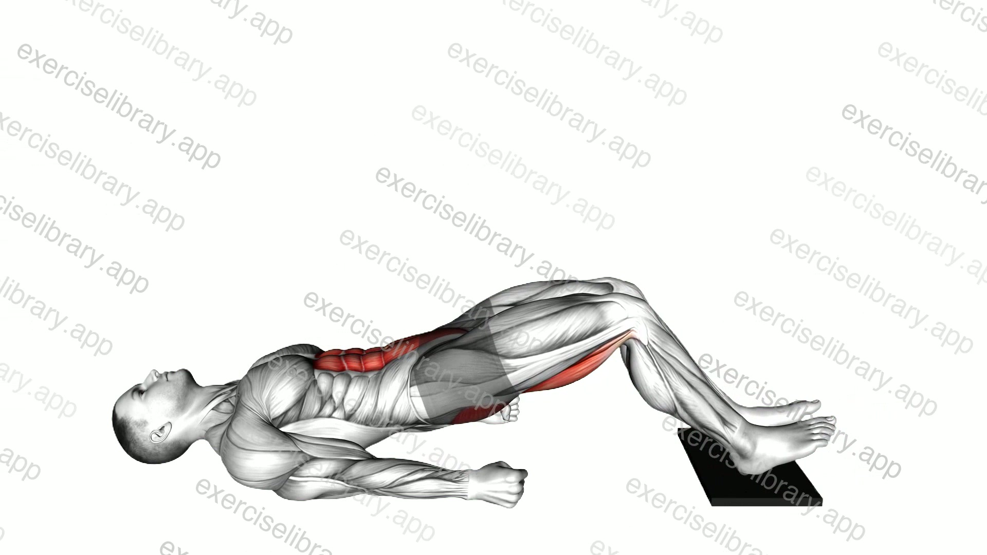 Sliding Floor Bridge Curl on Towel demonstration