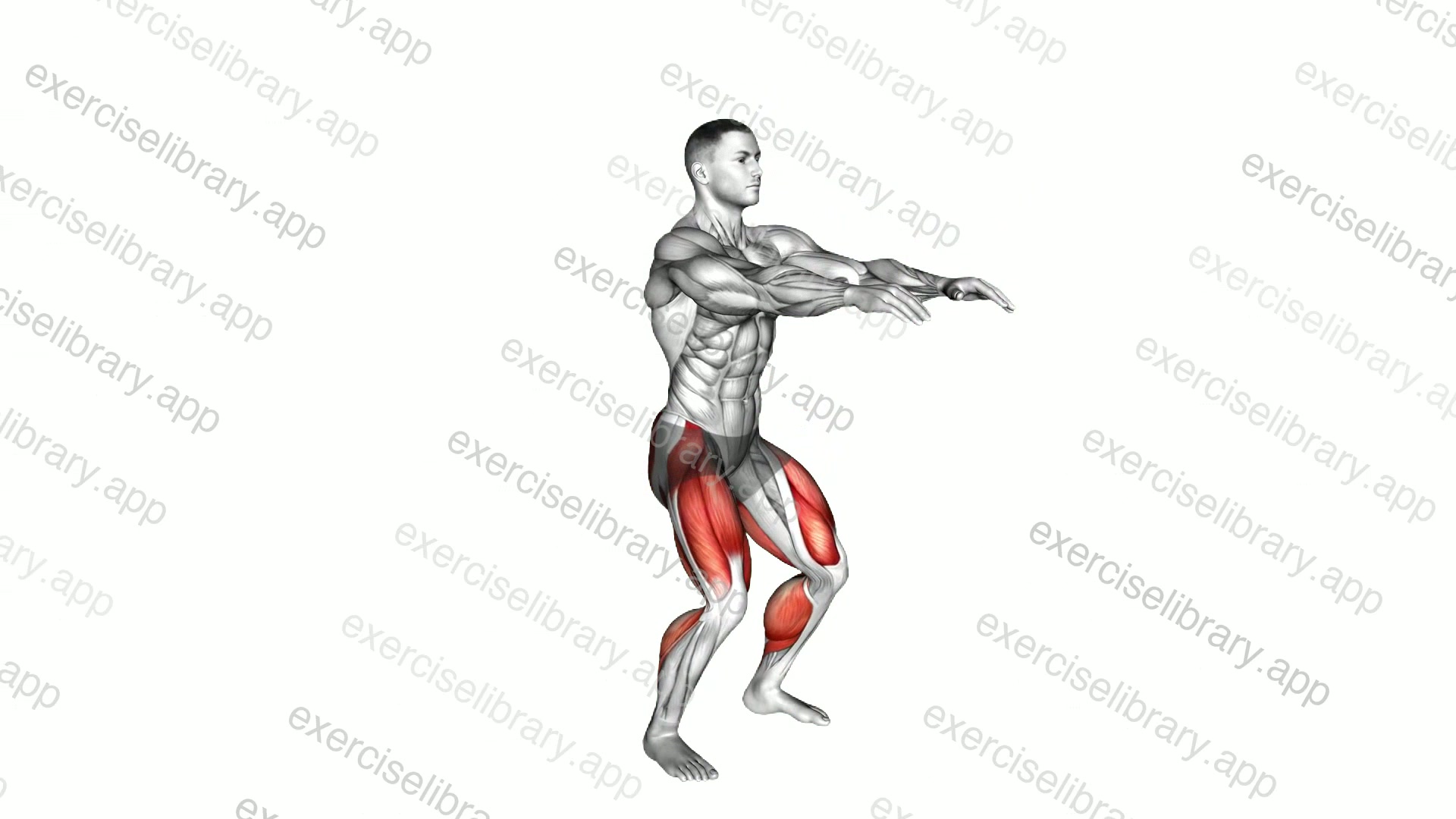 Full Squat Mobility demonstration