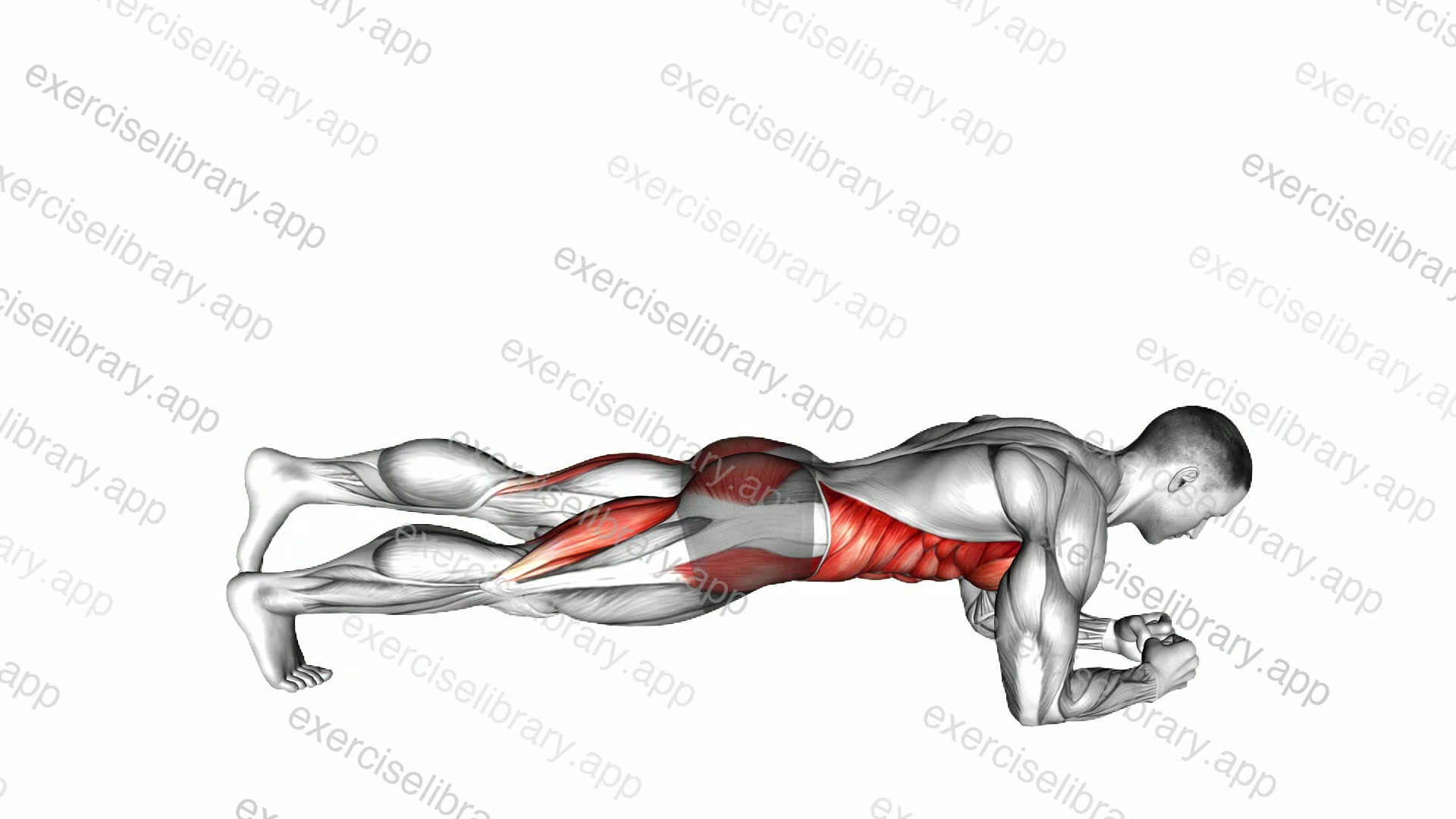 Front Plank with Leg Lift demonstration