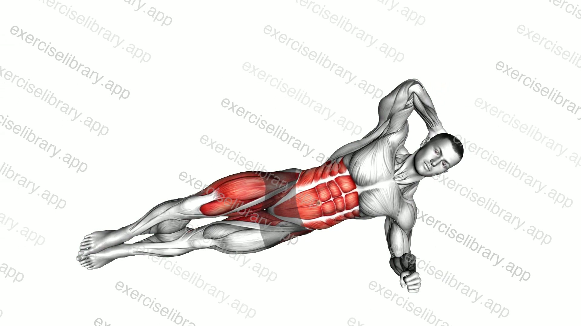 Elbow to Knee Side Plank Crunch demonstration