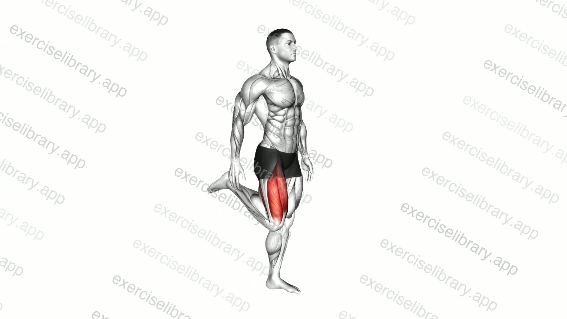 Standing Balance Quadriceps Stretch demonstration